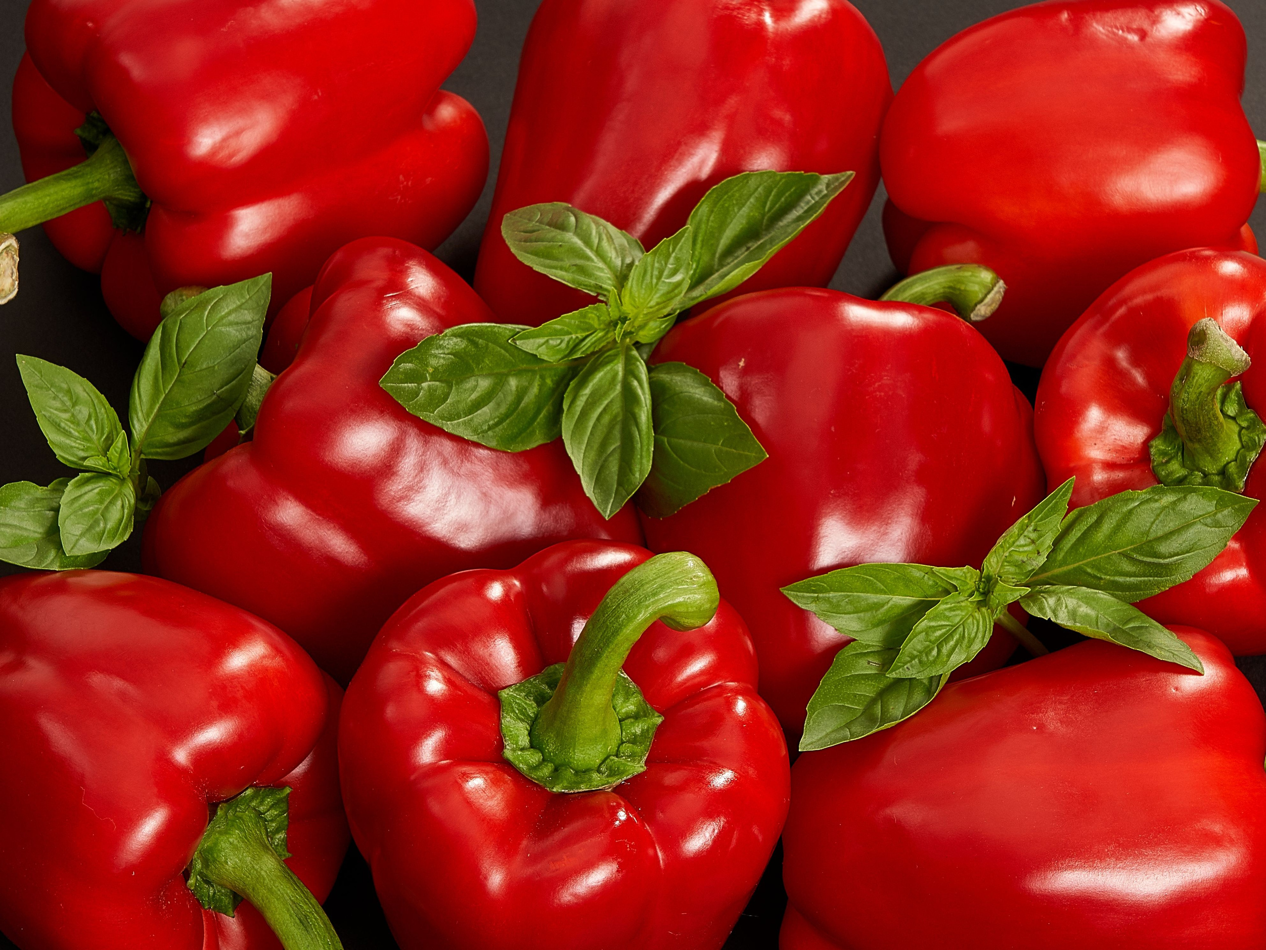 Without PROCESSING. Max Matvich and Victoria Basova are professionals in their field