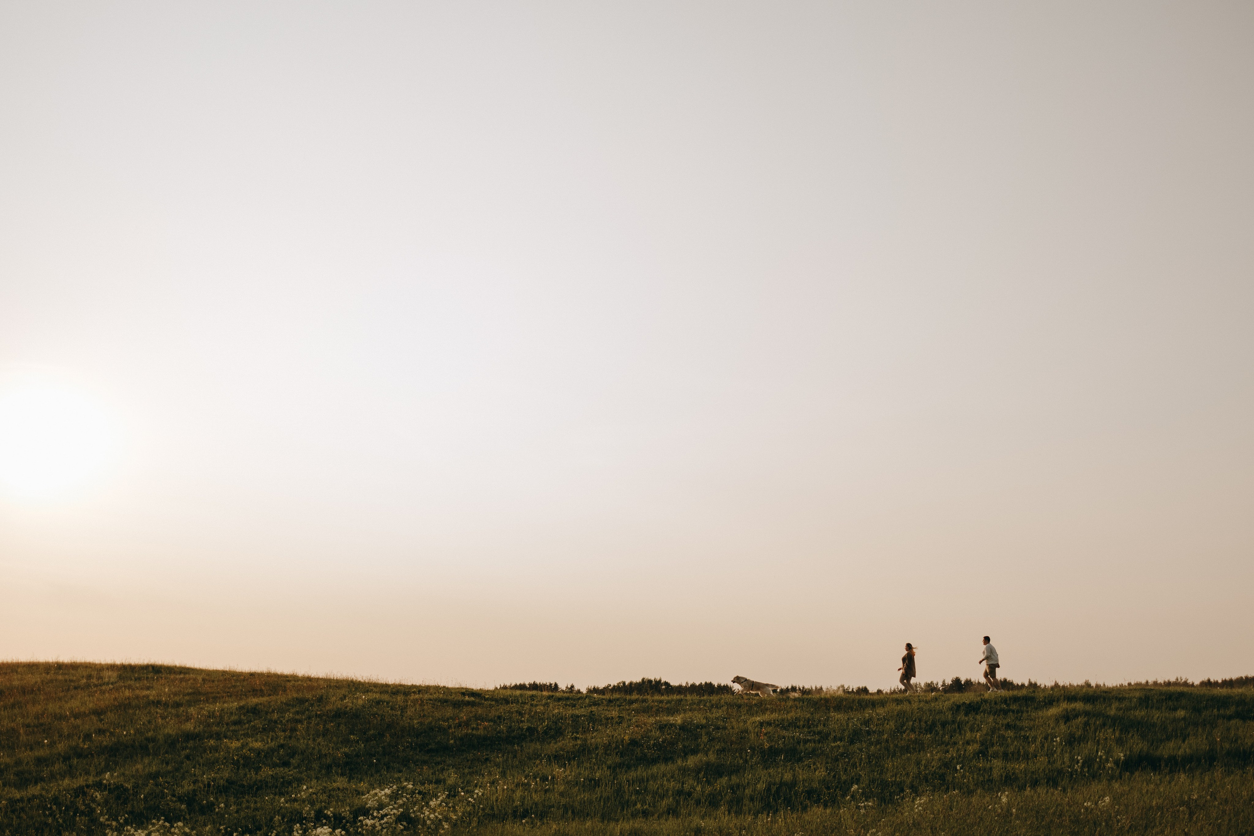 Милка и ребята. Фотограф — Анималист | Санкт-Петербург