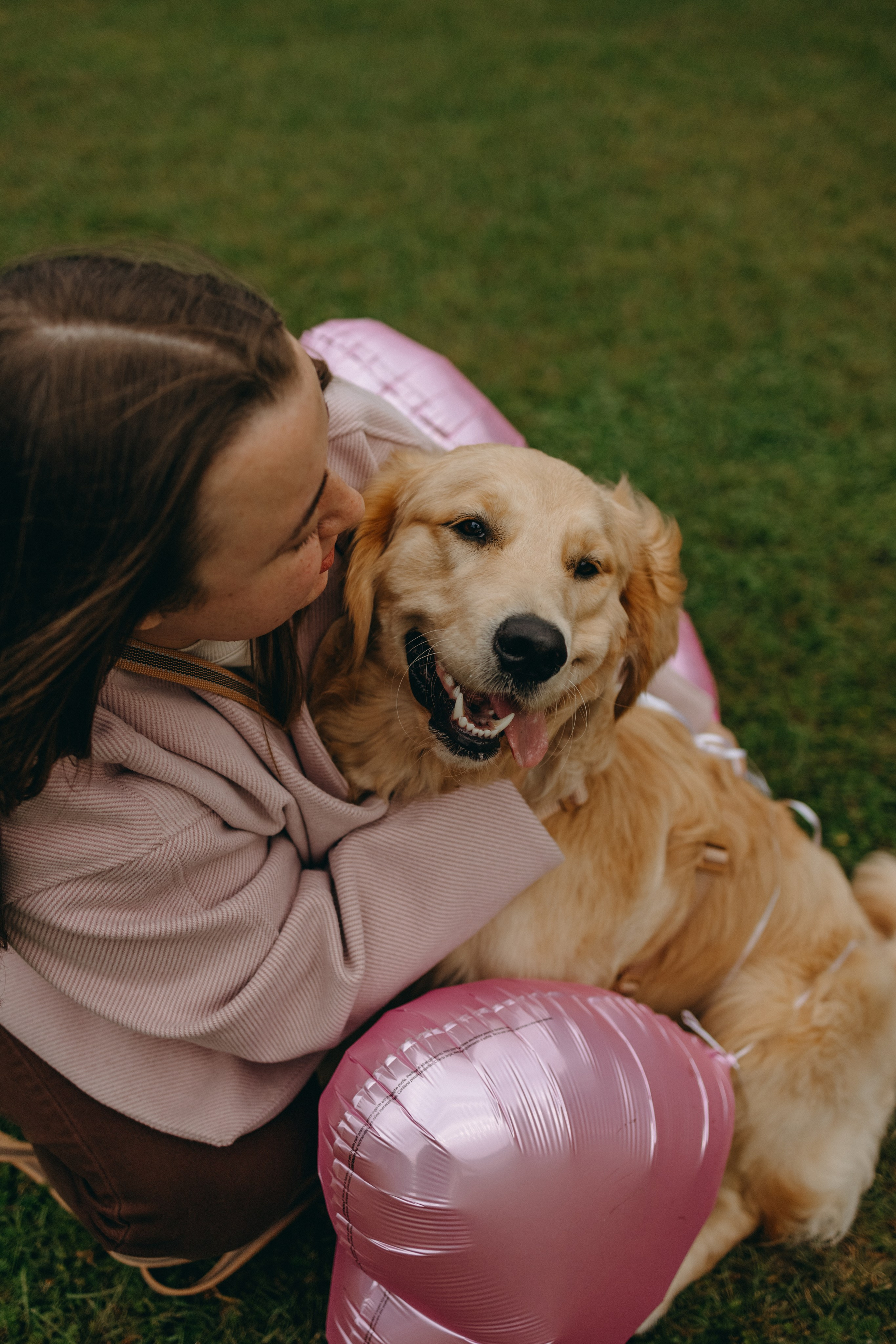 Бетти и ее семья. Фотограф — Анималист | Санкт-Петербург