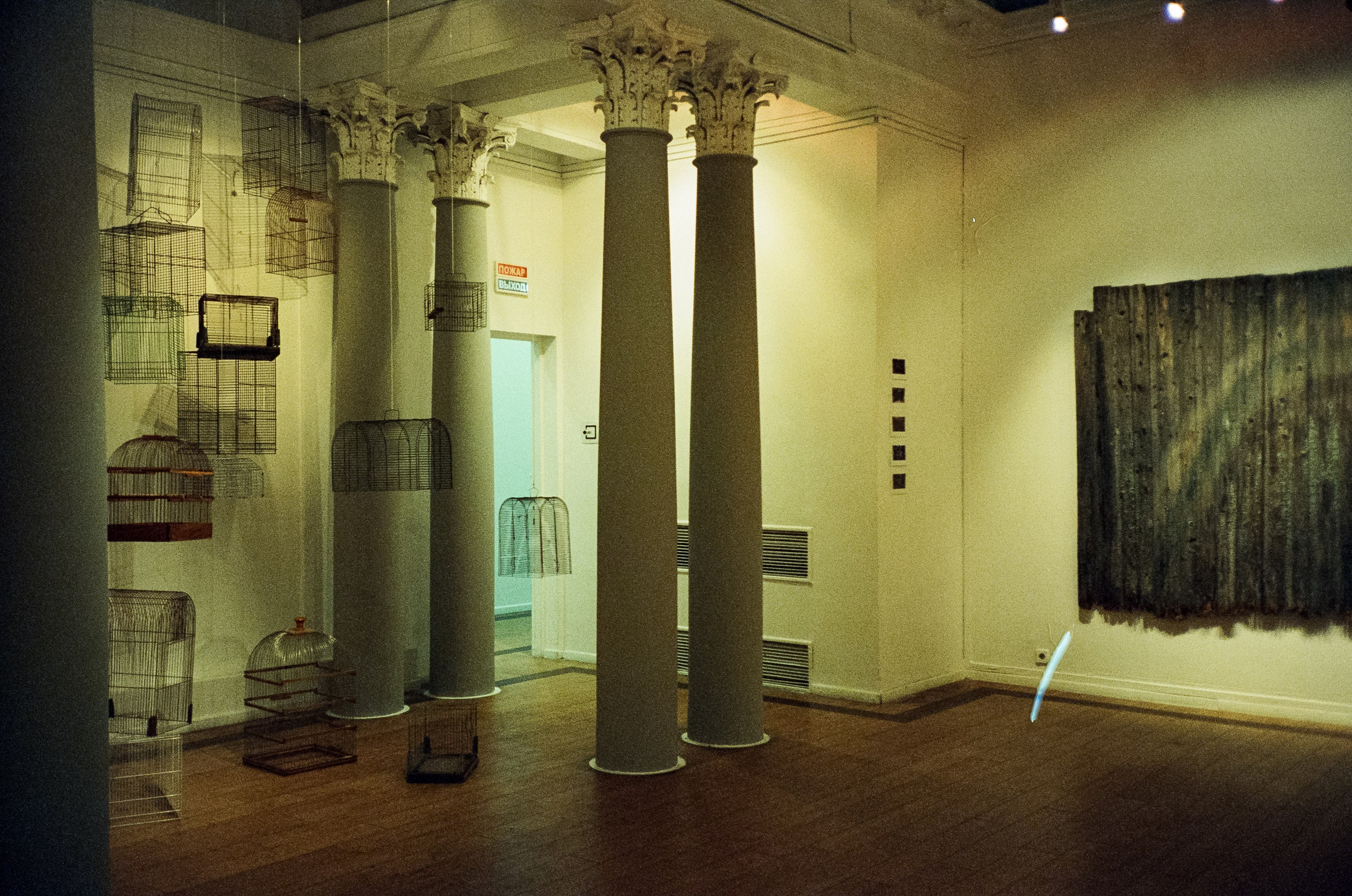 Диалог со зрителем. Вещи и видения в MOMMA. Фотограф-документалист Мария Осокина