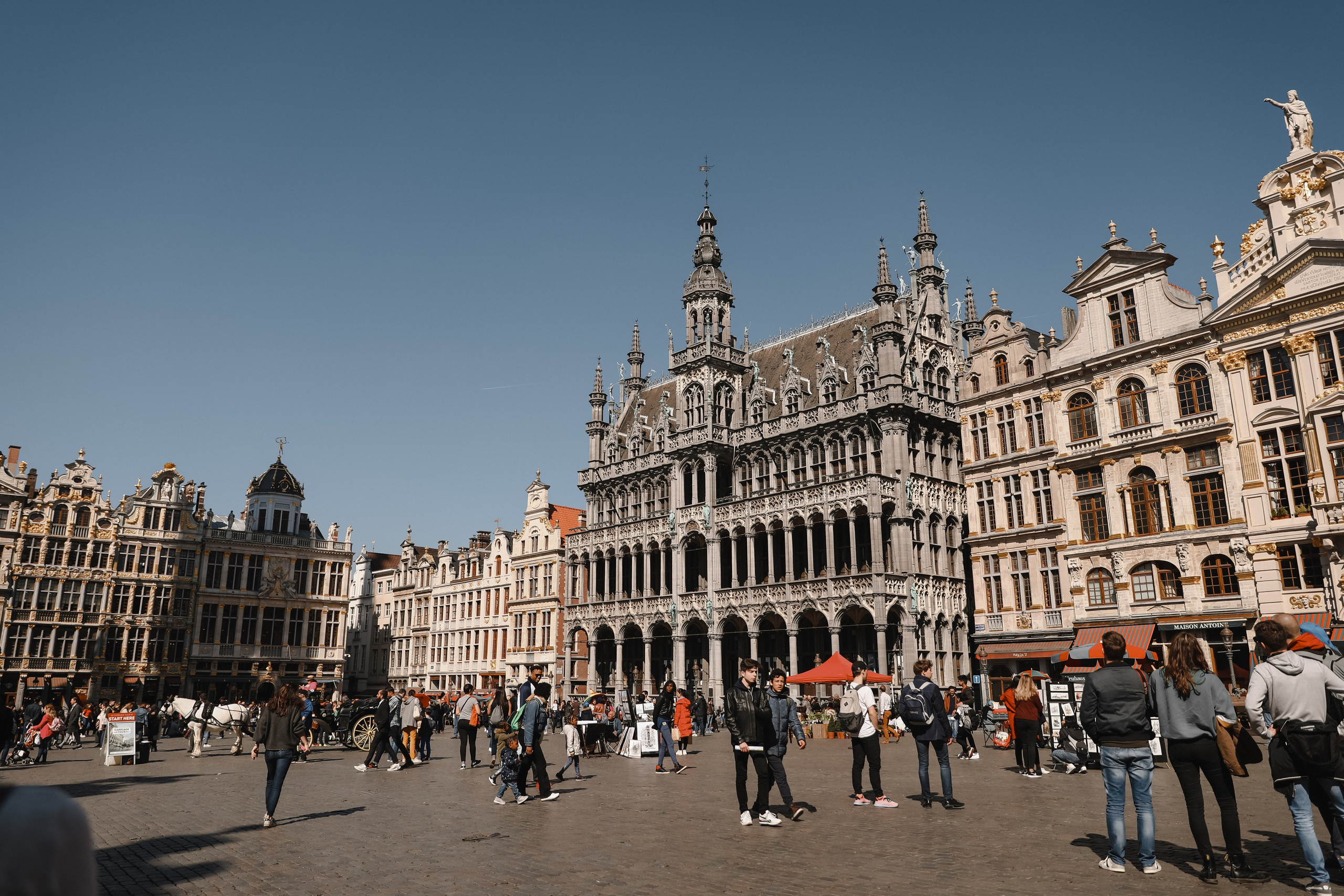 Coralie & Esteban. Свадебный и семейный фотограф Скрынник Светлана