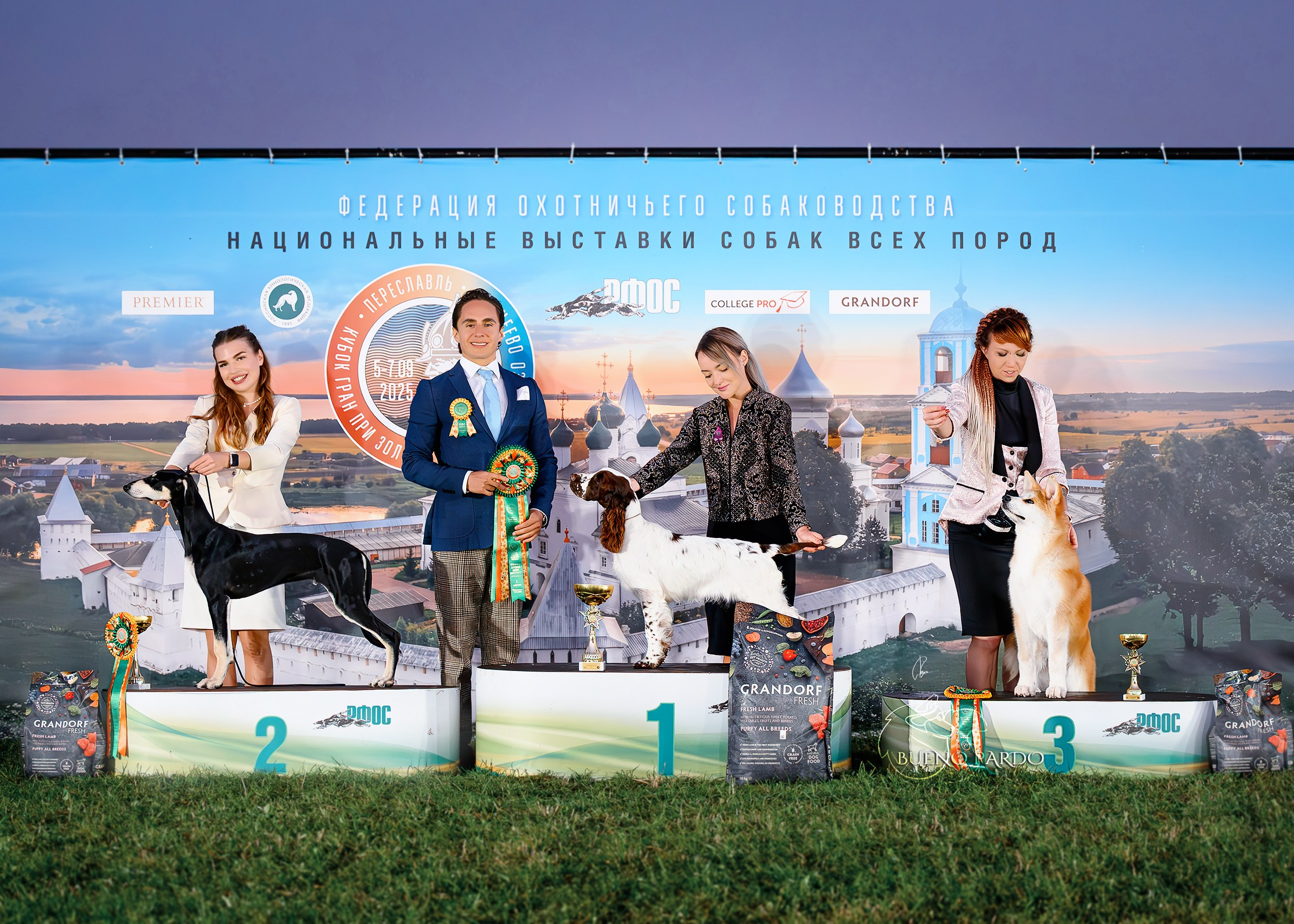 АКИТА. Kawaii Kuma питомник собак пород Корги пемброк, Акита ину, Сиба