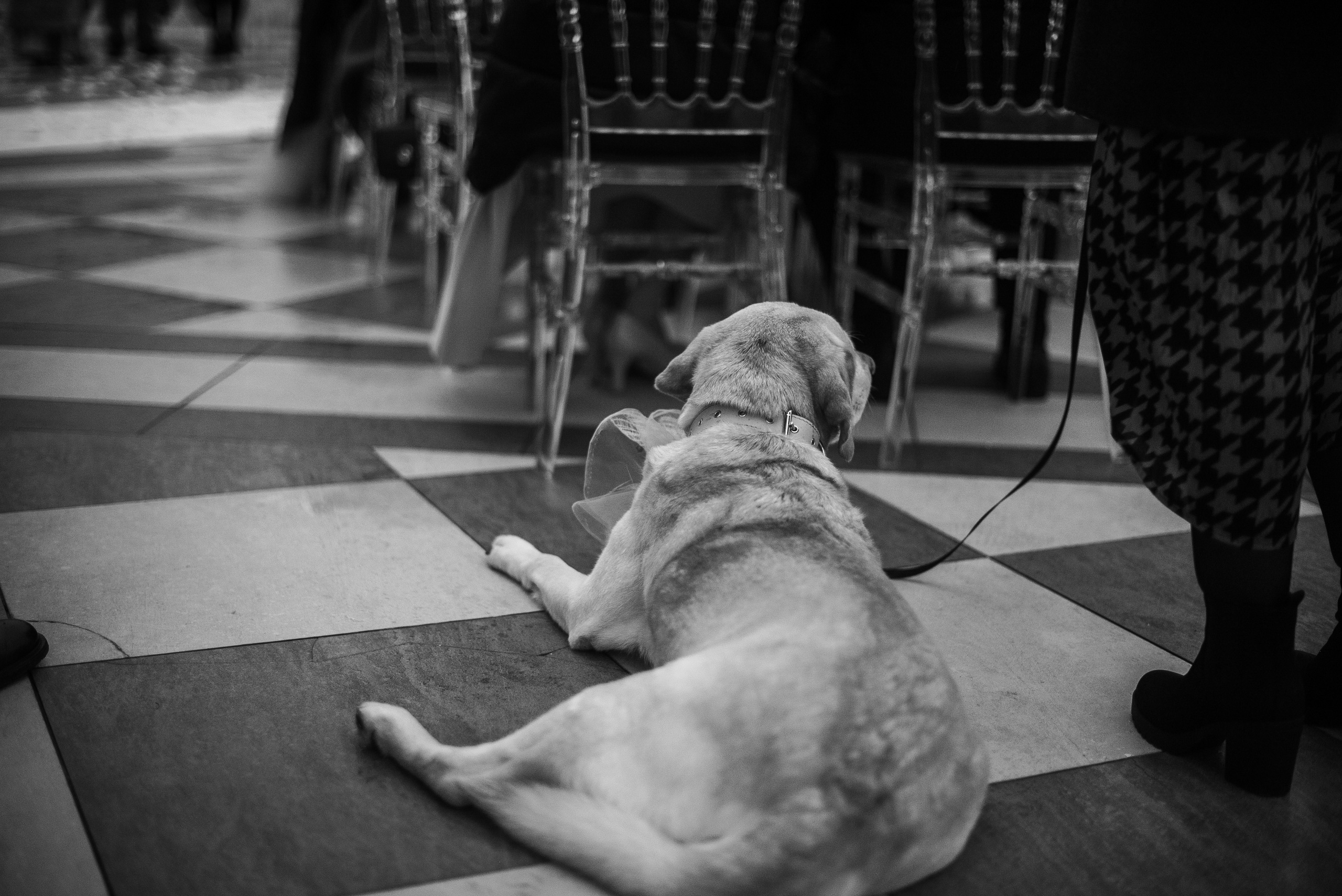 Юля и Леша. Свадебный фотограф в России и заграницей — Ольга Каретникова