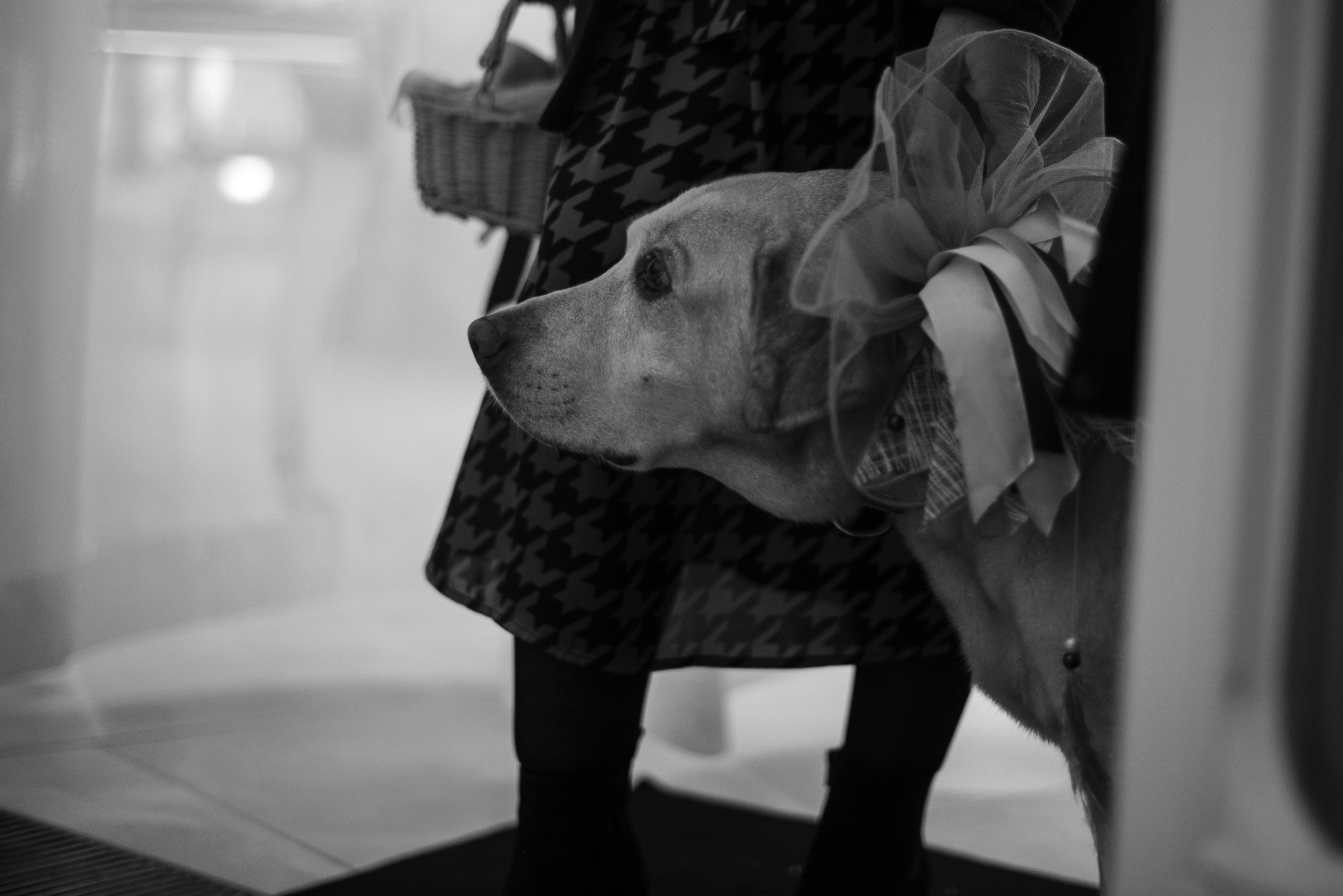 Юля и Леша. Свадебный фотограф в России и заграницей — Ольга Каретникова