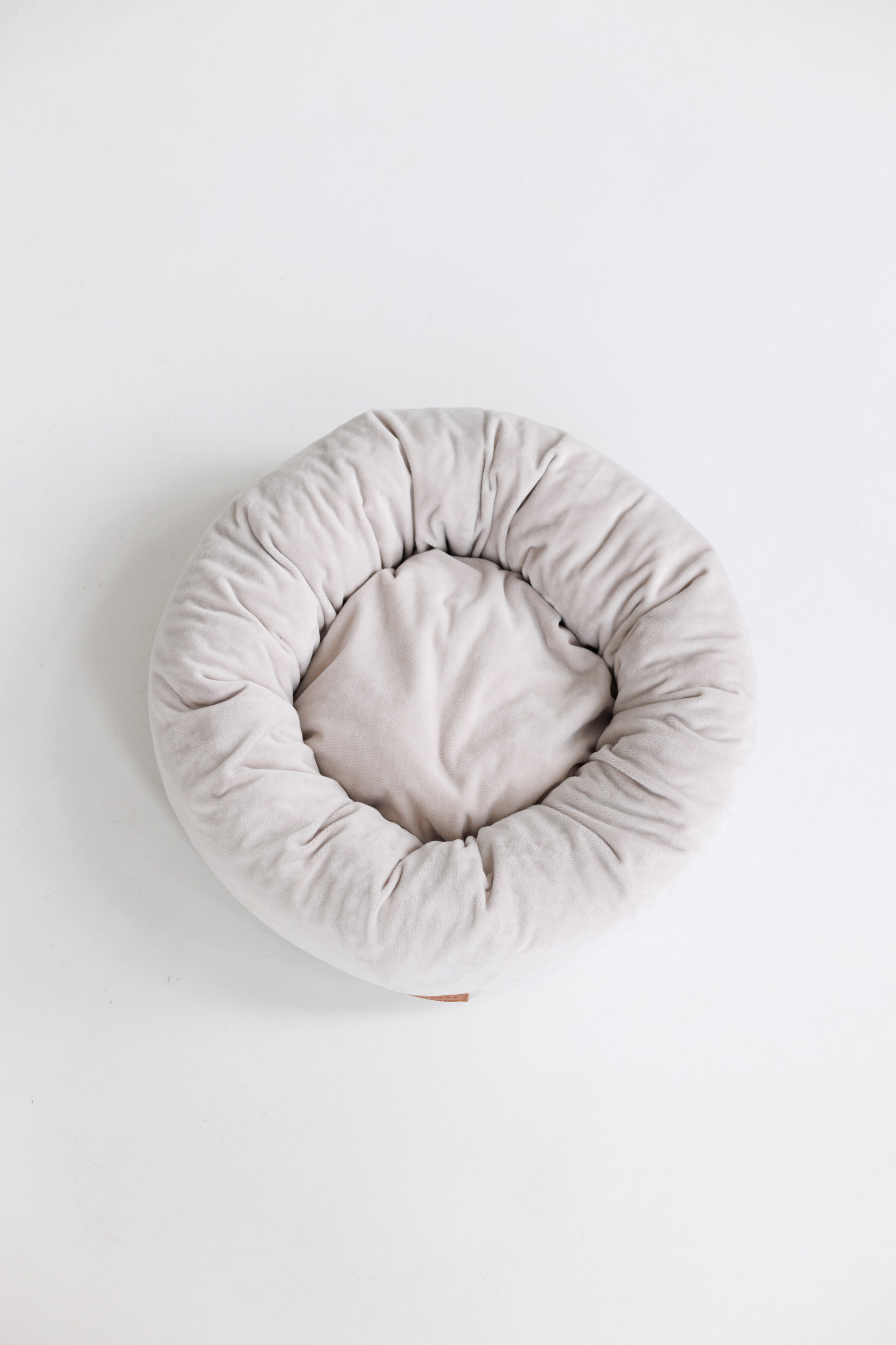 OH MY DOGA. Фотограф анималист Кристина Карпова, Москва