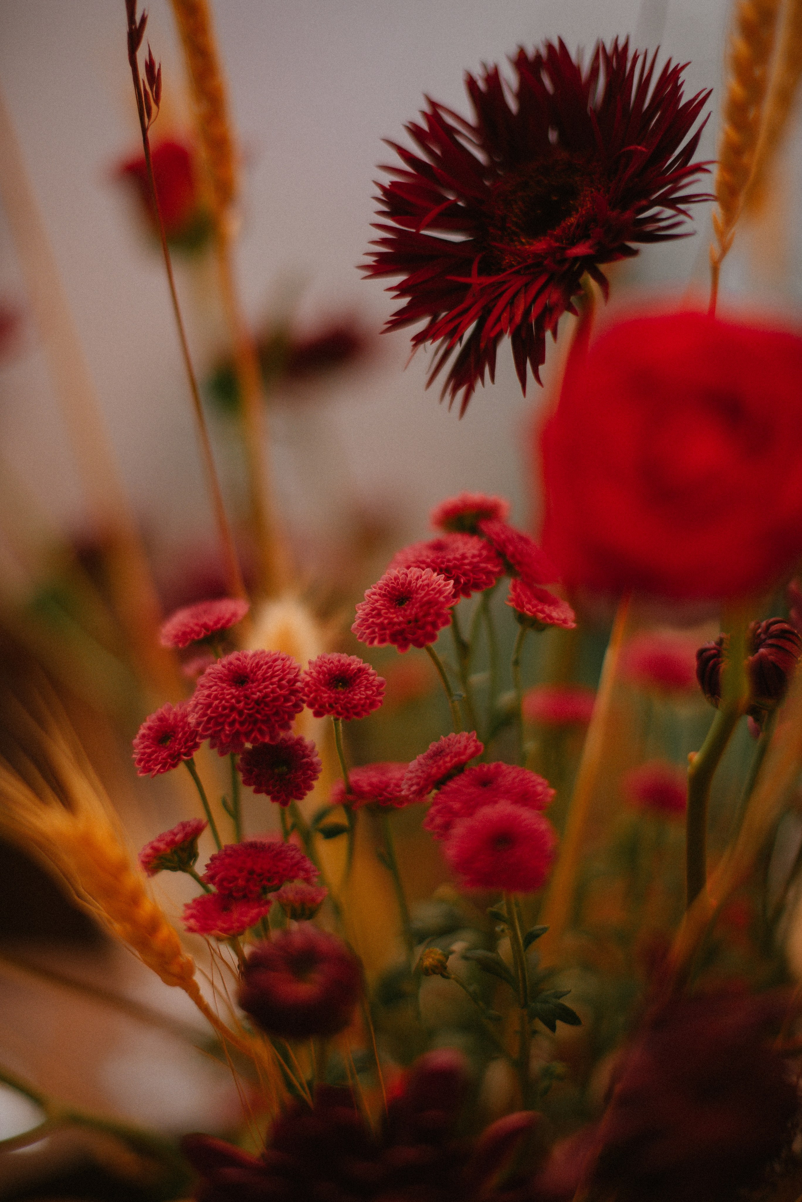Роман и Лиза (г.Севастополь). Свадебный, женский, семейный фотограф в Севастополе Юлия Мошенко