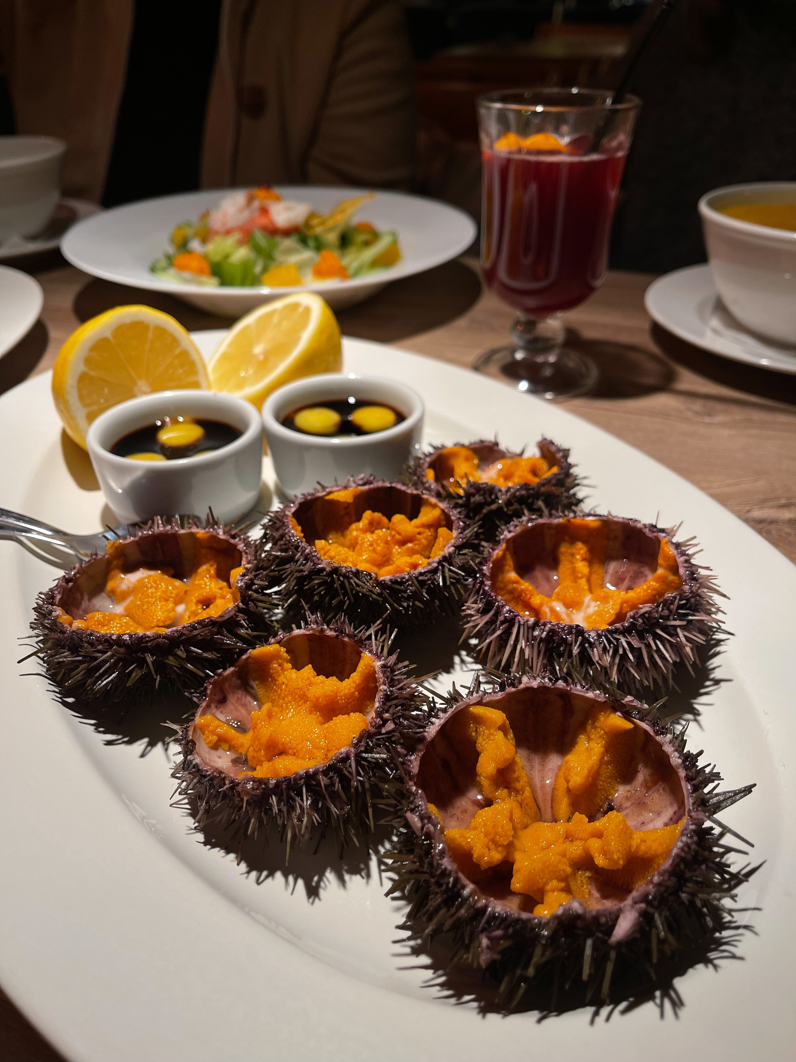 Путешествие по Териберке. Северное сияние. Уникальные экспедиции — LUCKY CLAN