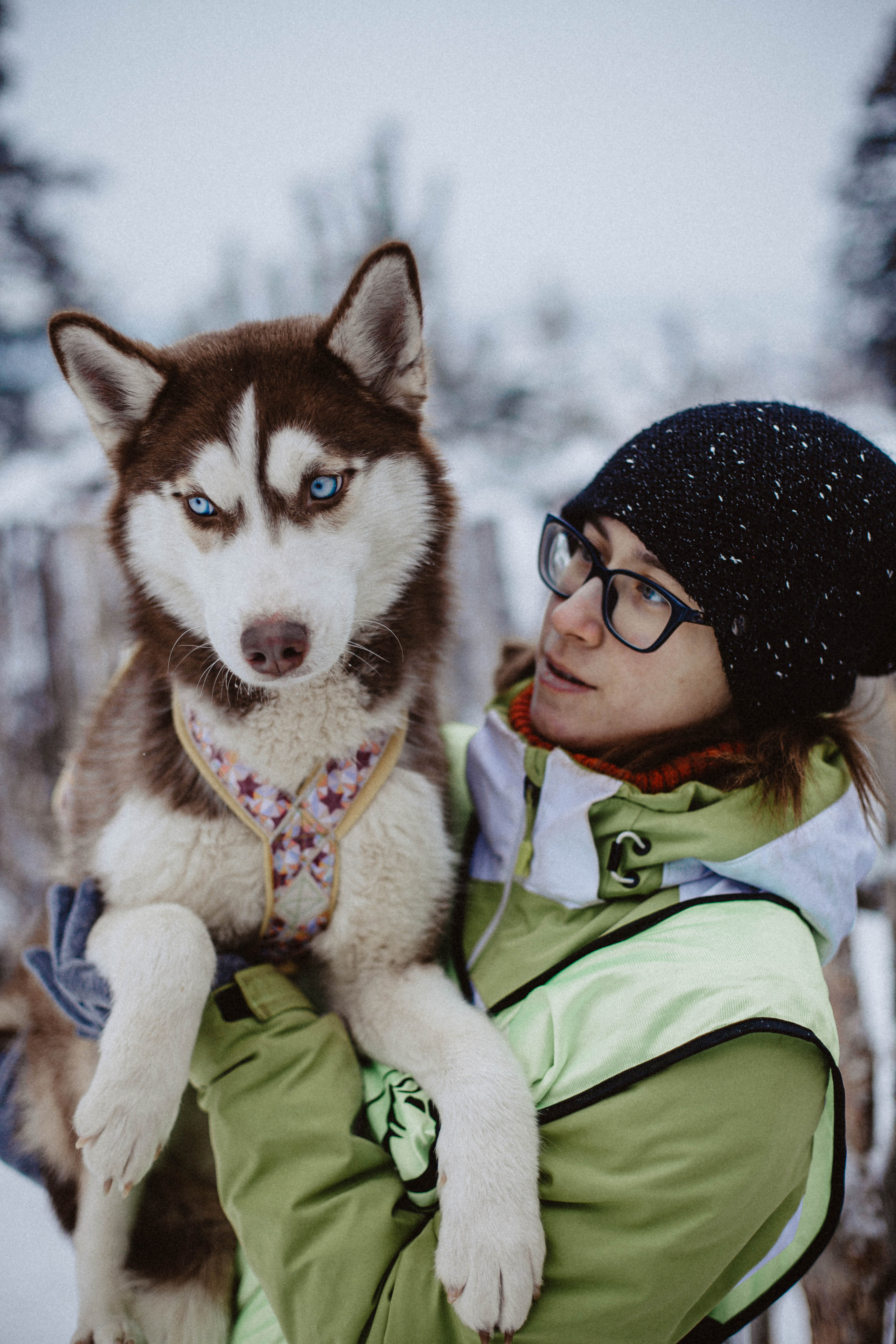 Хаски. Свадебный фотограф Челябинск