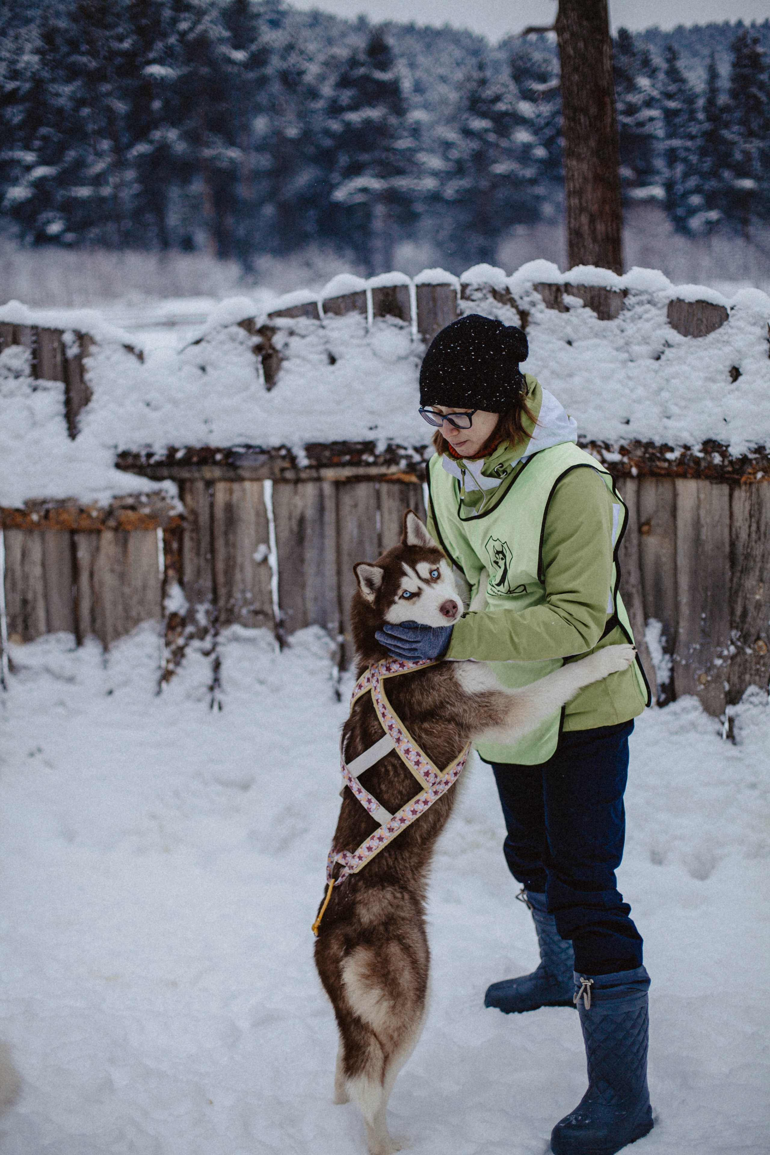Хаски. Свадебный фотограф Челябинск