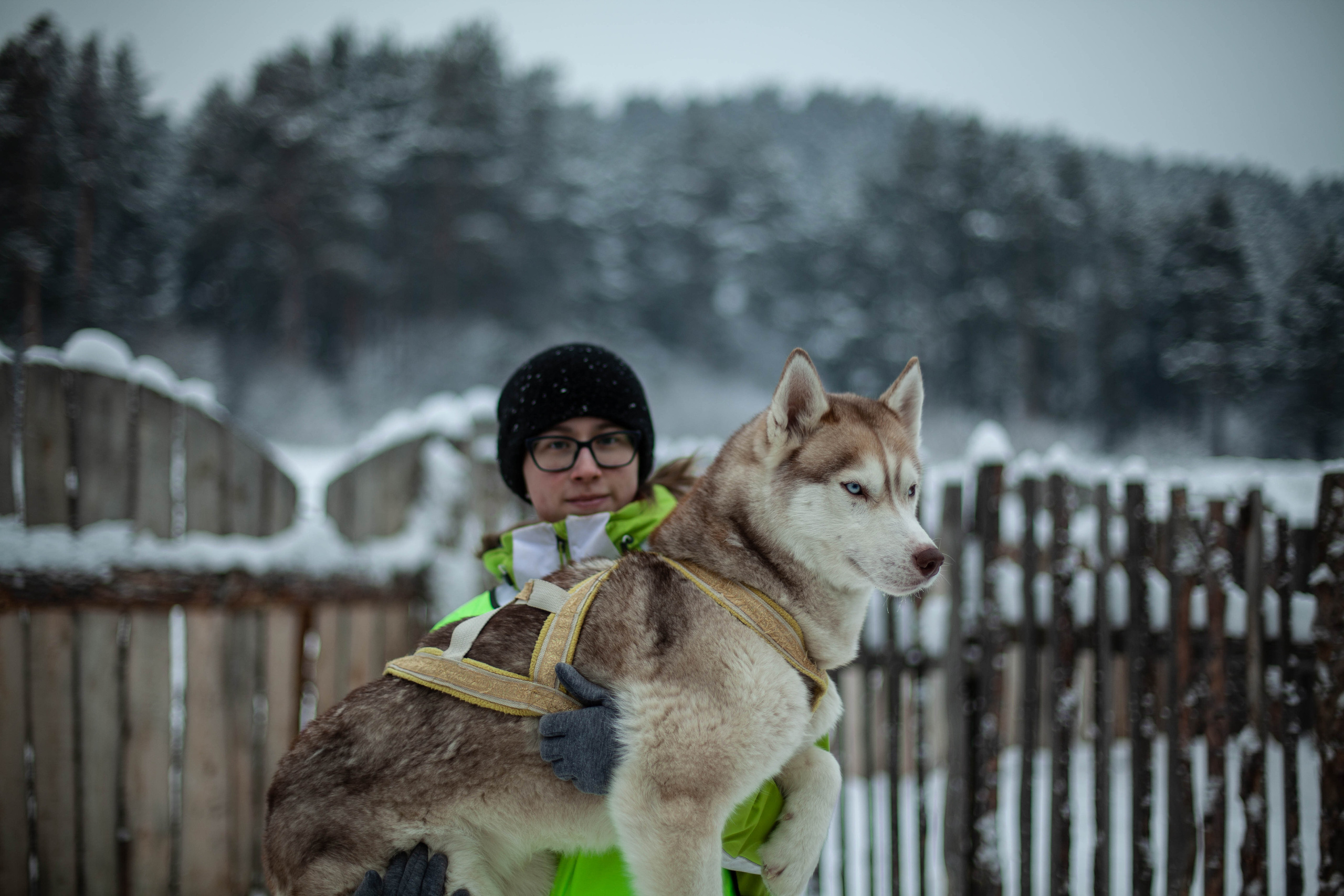 Хаски. Свадебный фотограф Челябинск