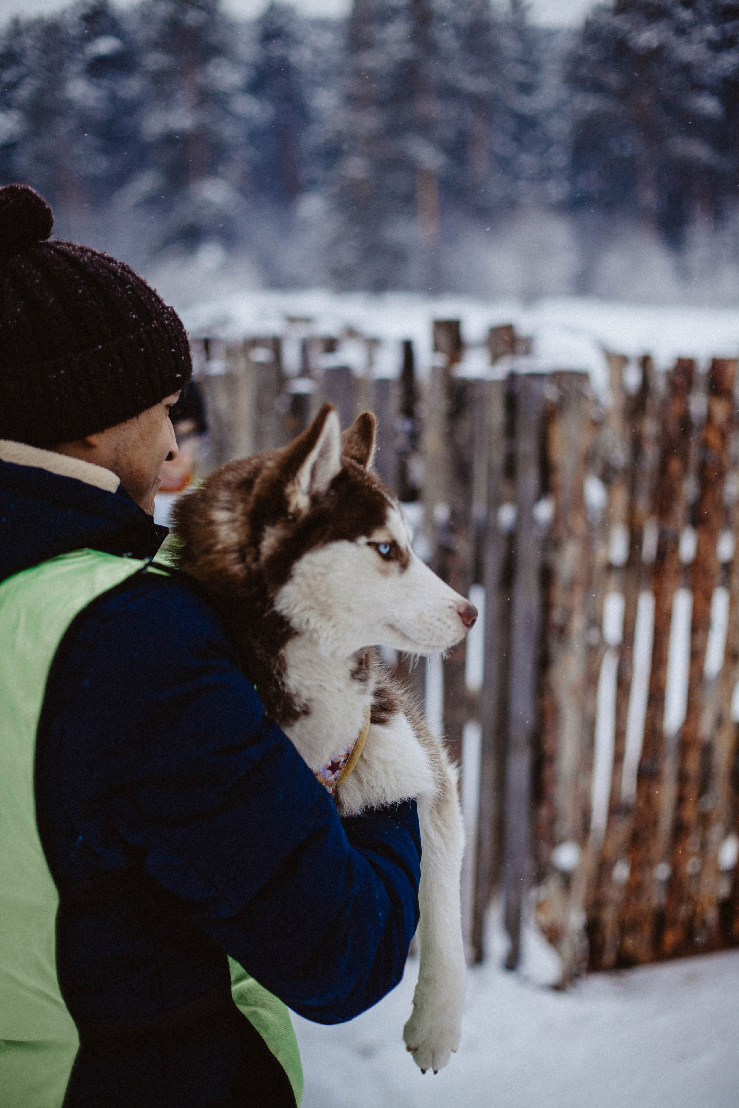Хаски. Свадебный фотограф Челябинск
