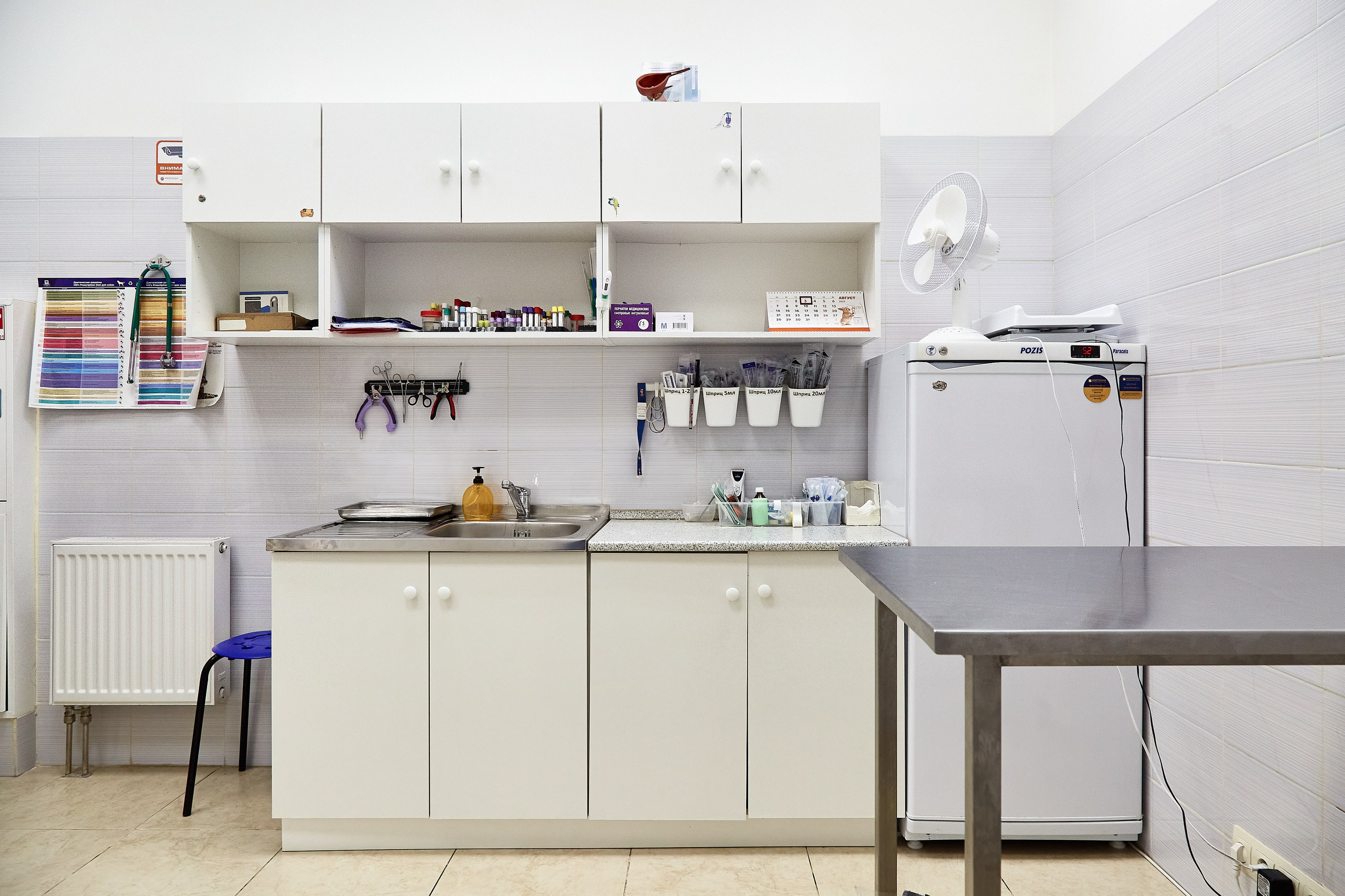 Ветеринарная клиника Косточка на Дальневосточном пр. Фотограф Анастасия Леонтьева Санкт-Петербург