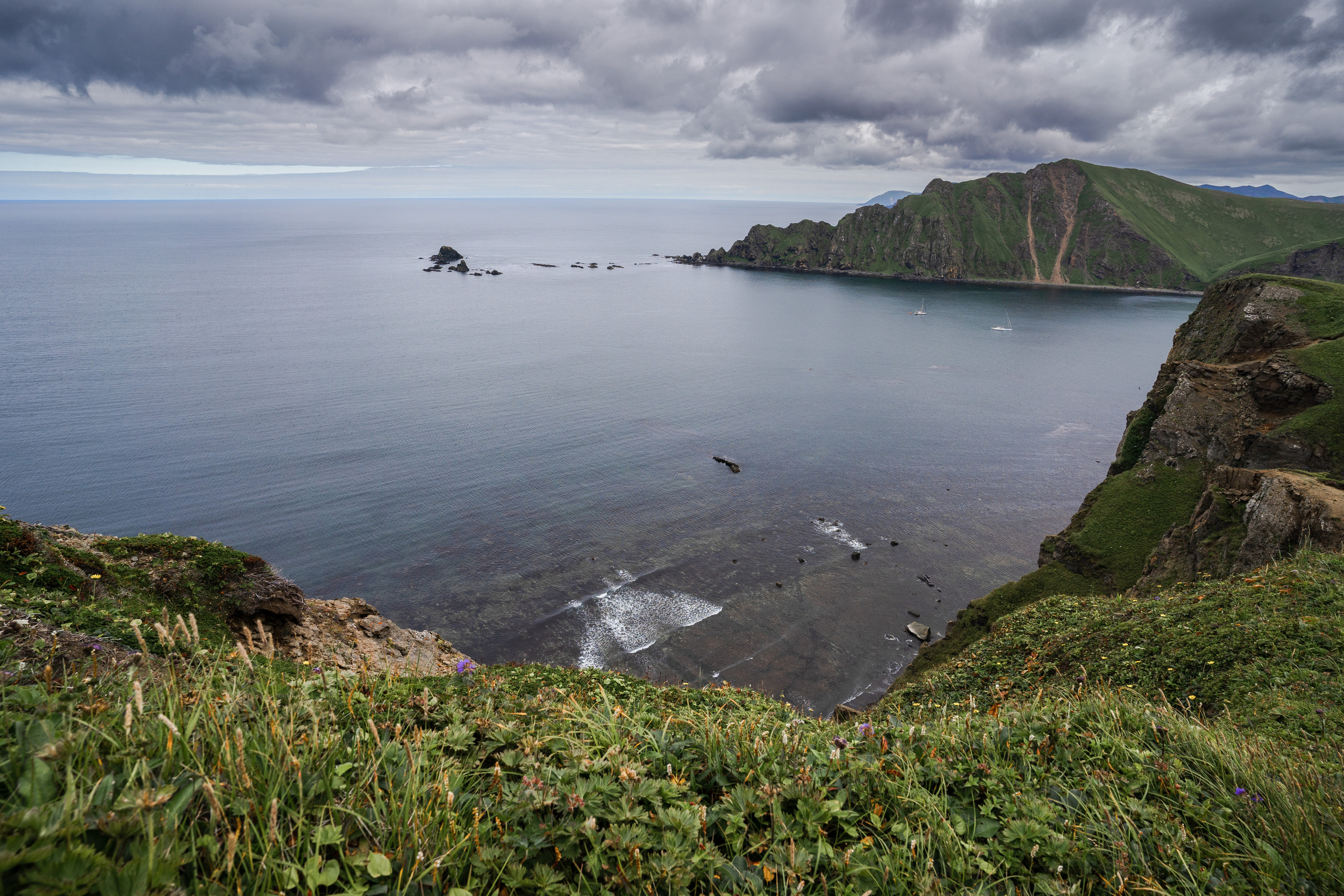 Анна Рогачева — фотограф дикой природы