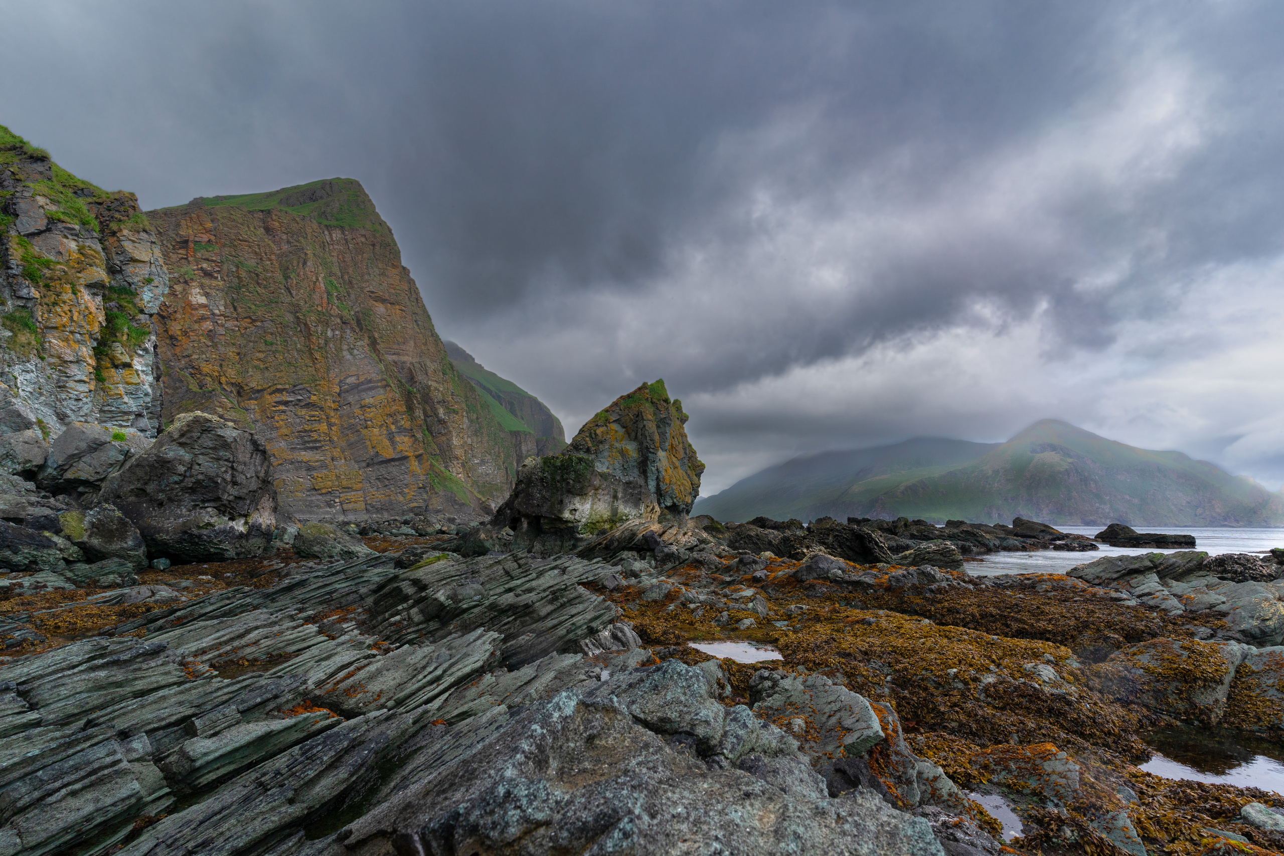 Анна Рогачева — фотограф дикой природы