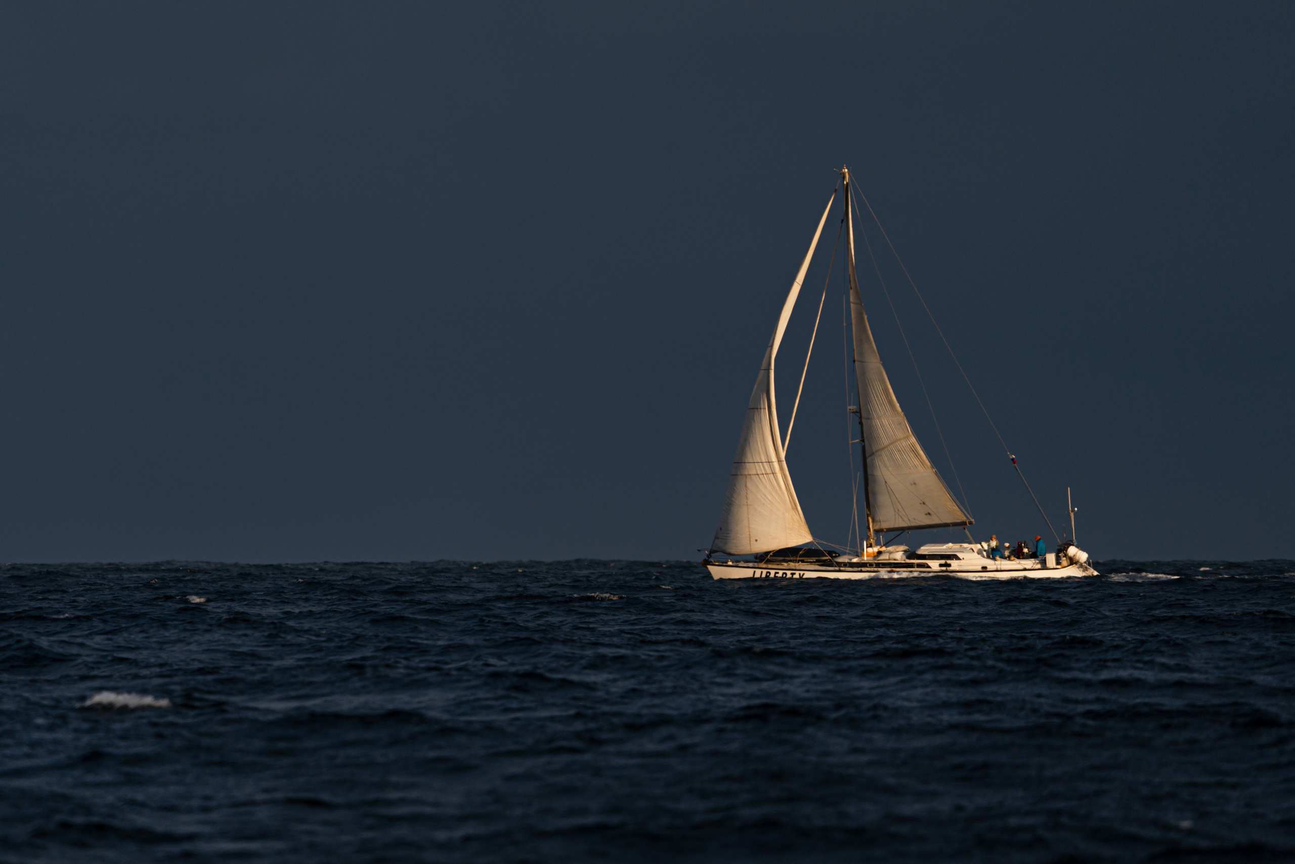Анна Рогачева — фотограф дикой природы