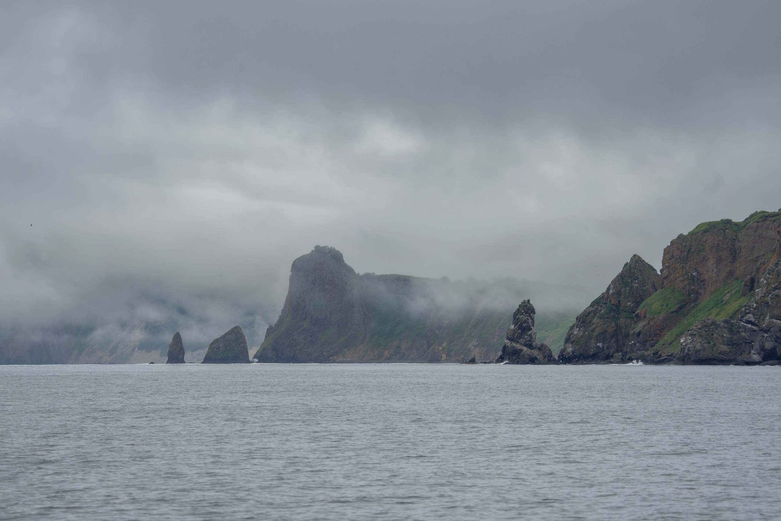 Анна Рогачева — фотограф дикой природы