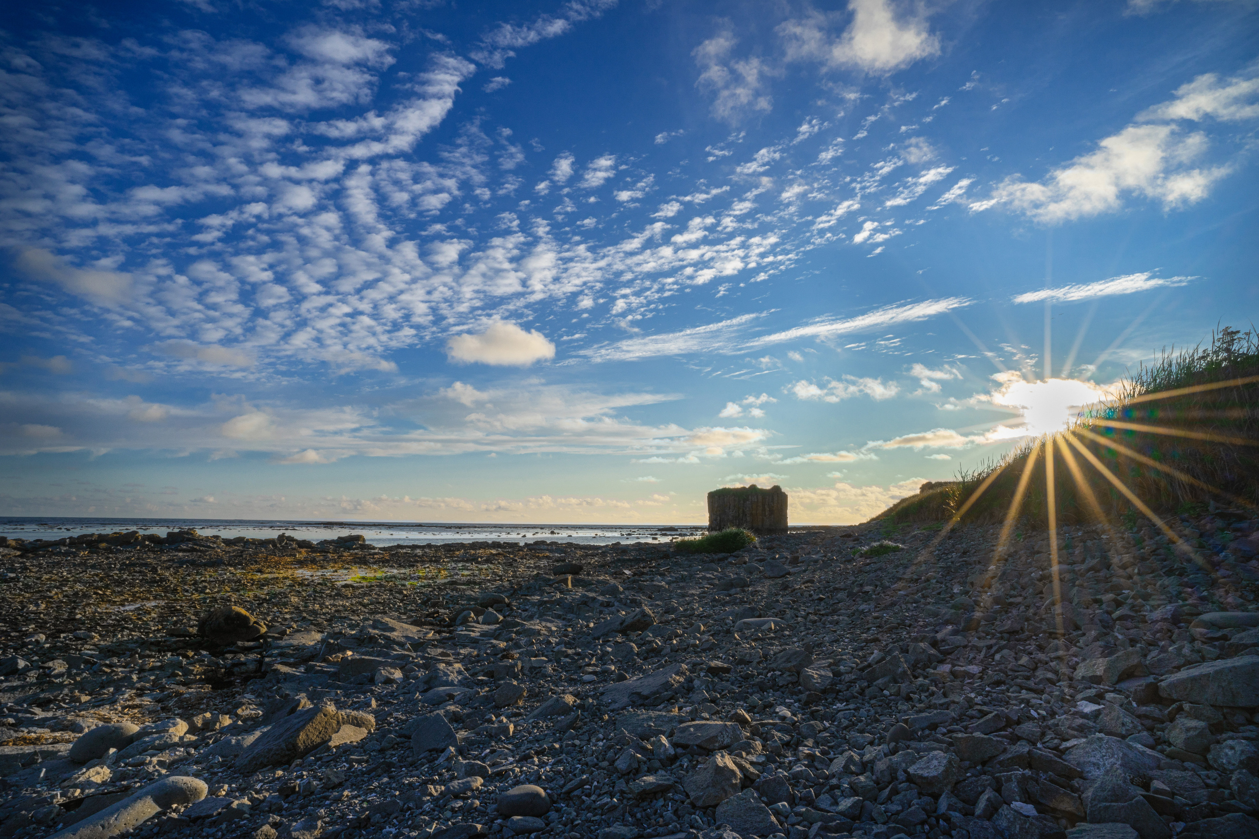 Анна Рогачева — фотограф дикой природы