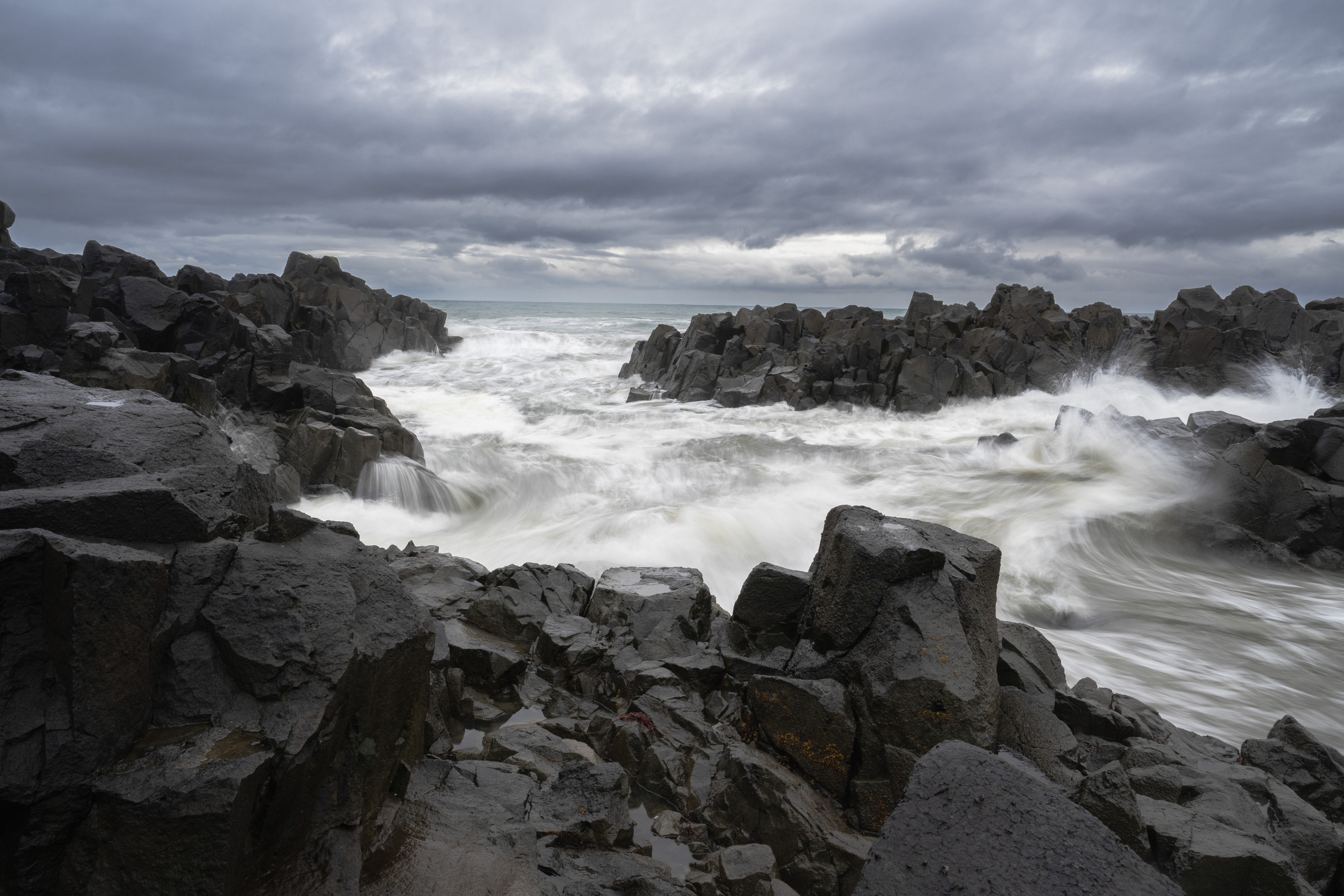 Анна Рогачева — фотограф дикой природы