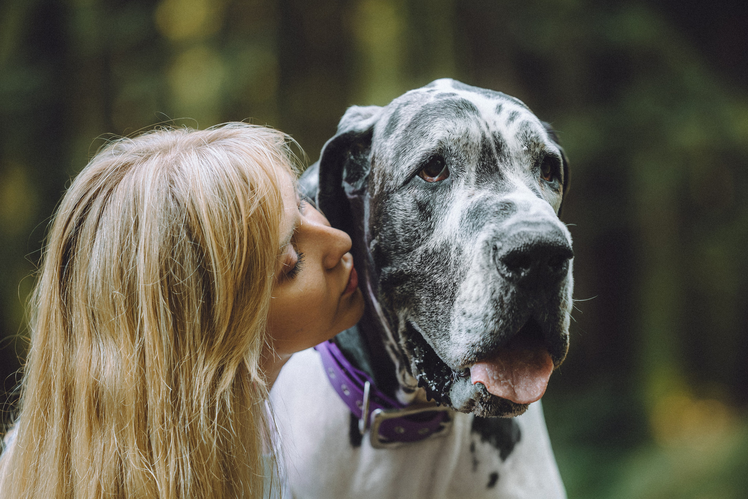 Катя, Андрей, Гектор, Ричи, Тортик и Трой