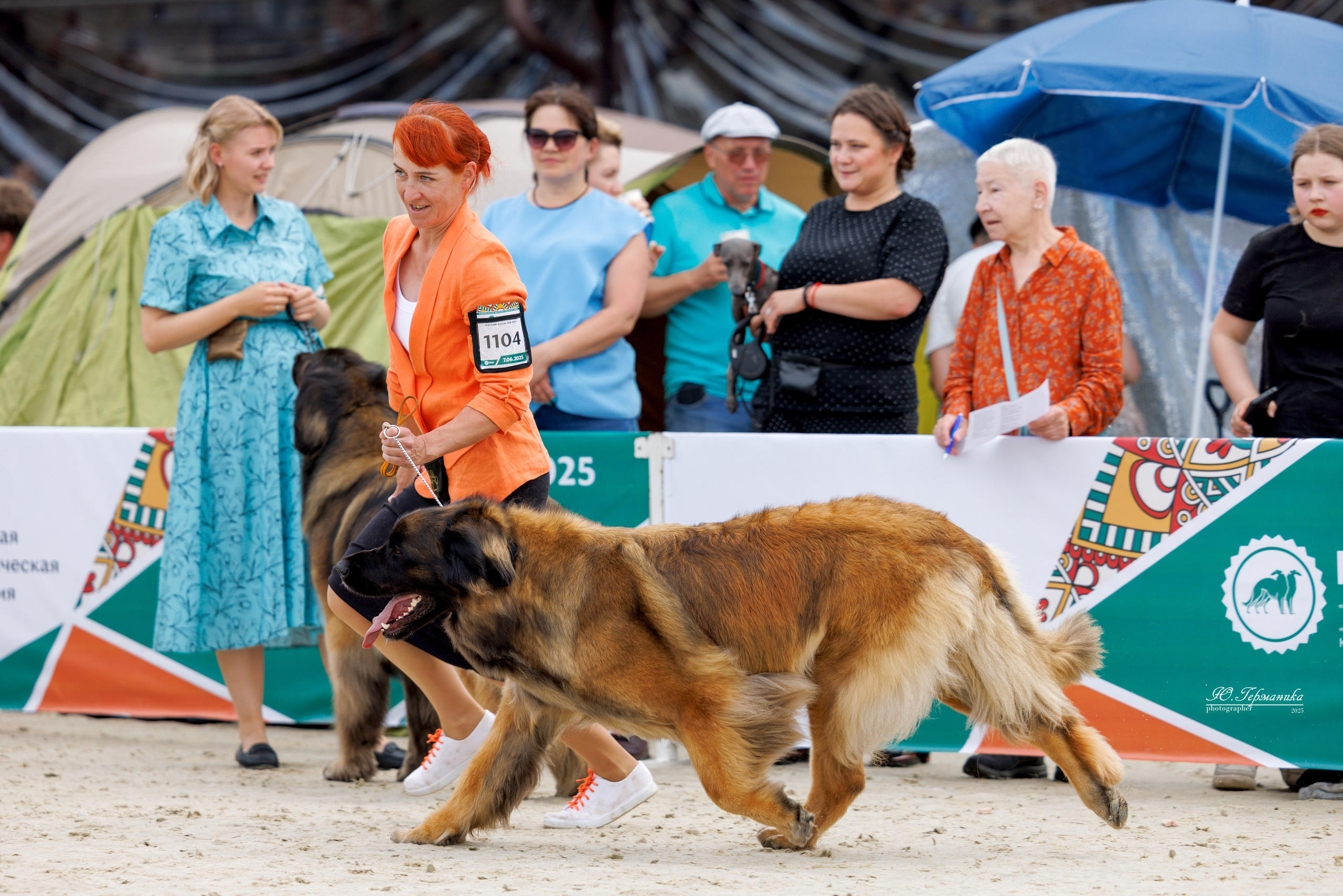 РОССИЯ 7-8.06.2025. Фотограф-анималист Юлия Германика