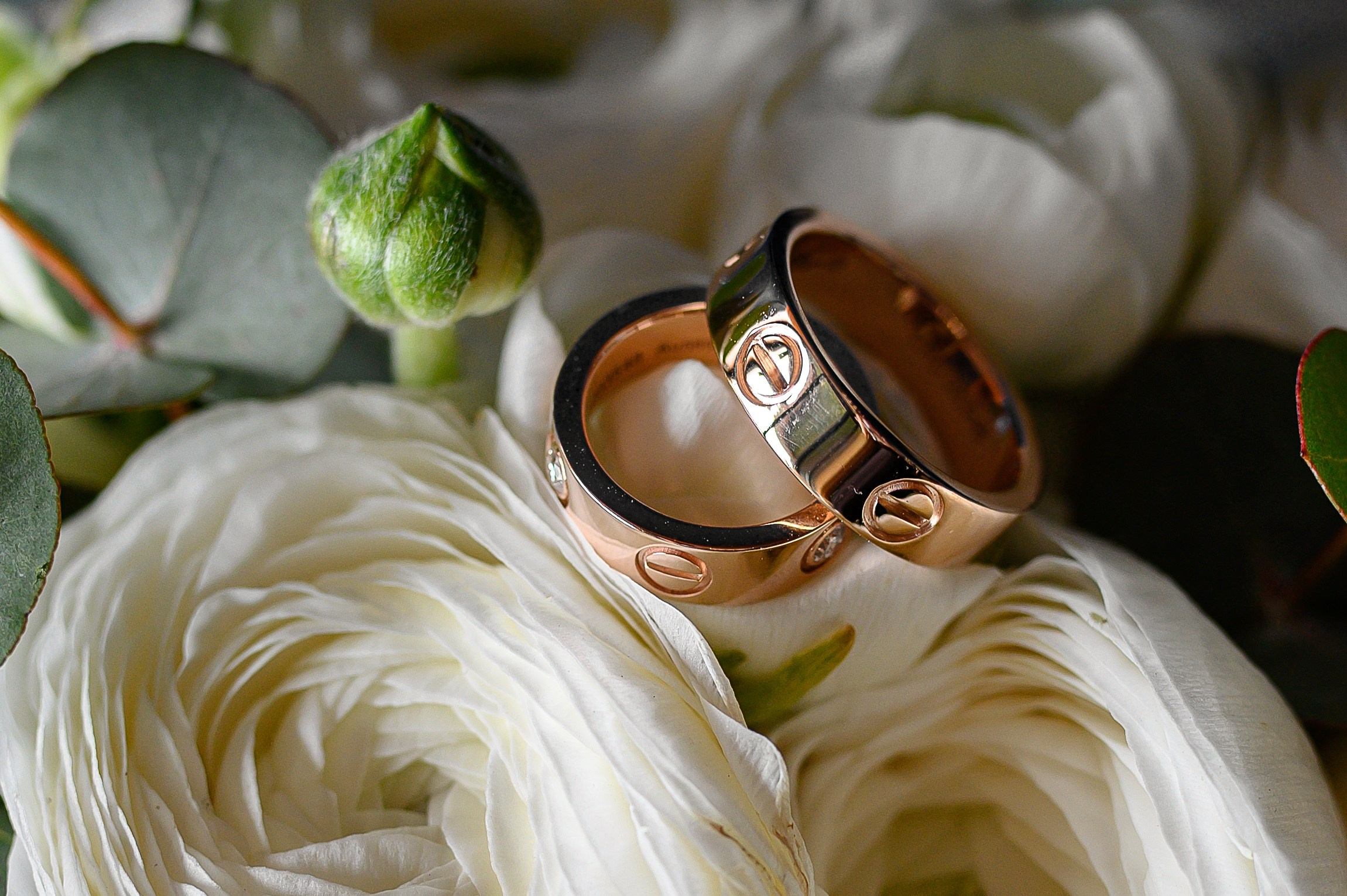 Александр и Дарья. Фотограф Людмила Осокина