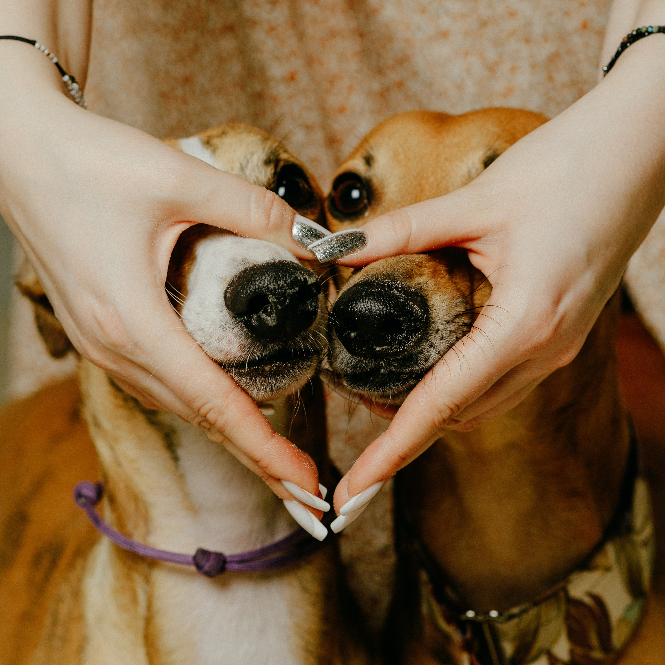 Рислинг и Асти. Анна Самохина. Фотограф. Москва