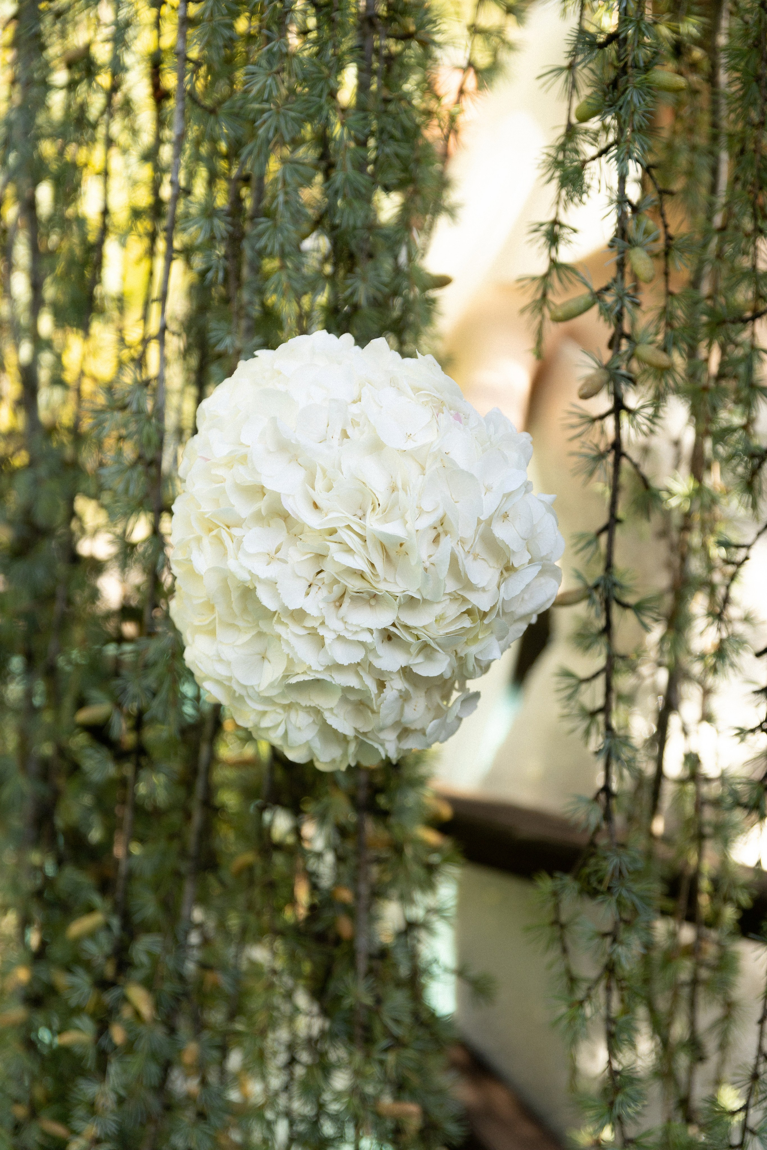 Тагир и Кристина. Свадебный фотограф