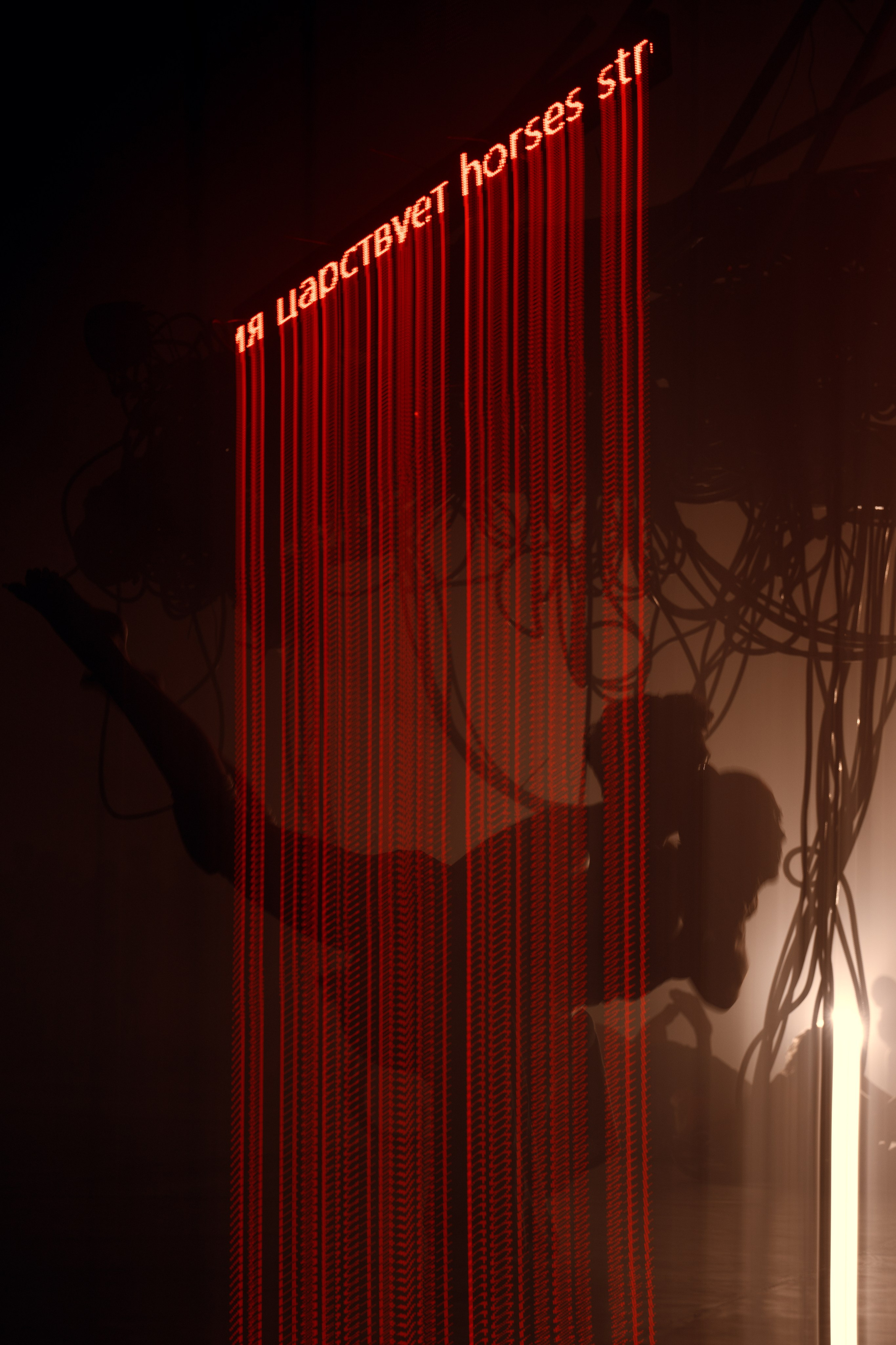 PERFORMA, The Hour of the Horse. @tomrus: Рустам Шагиморданов — фотограф