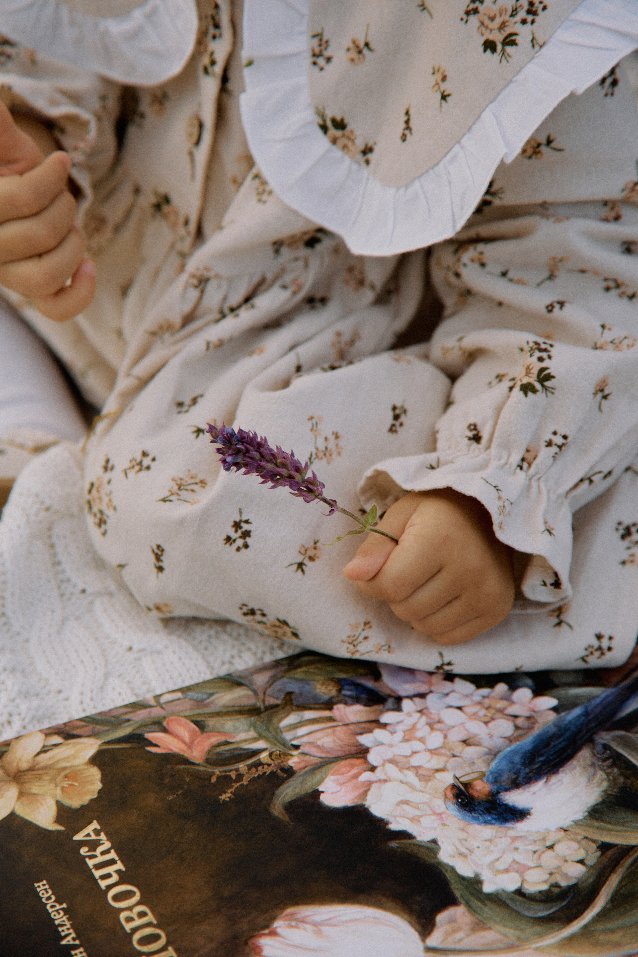 Семейные истории. Фотограф Елена Краснопевцева