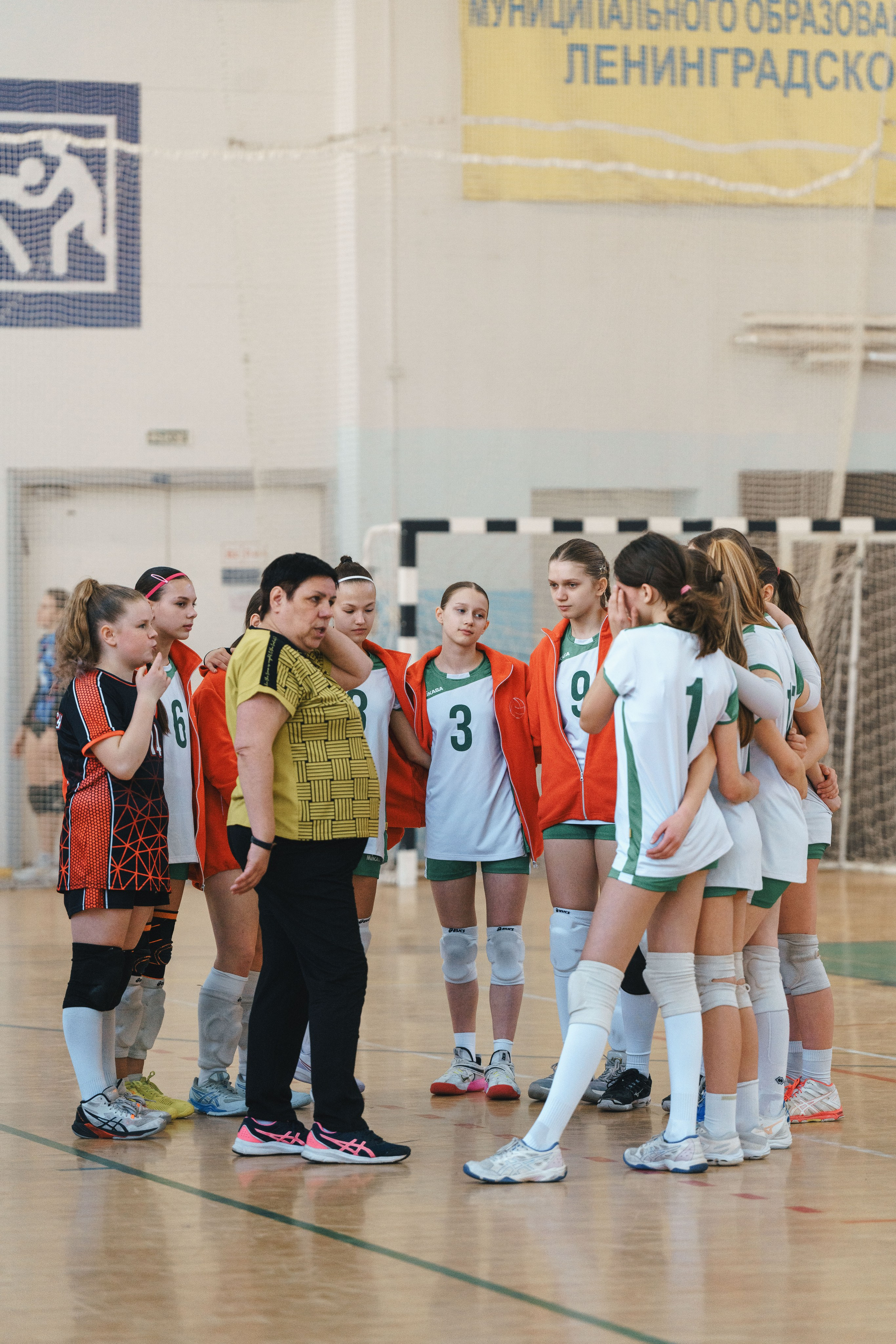 Волейбол торус. Фотограф-анималист в Санкт-Петербурге