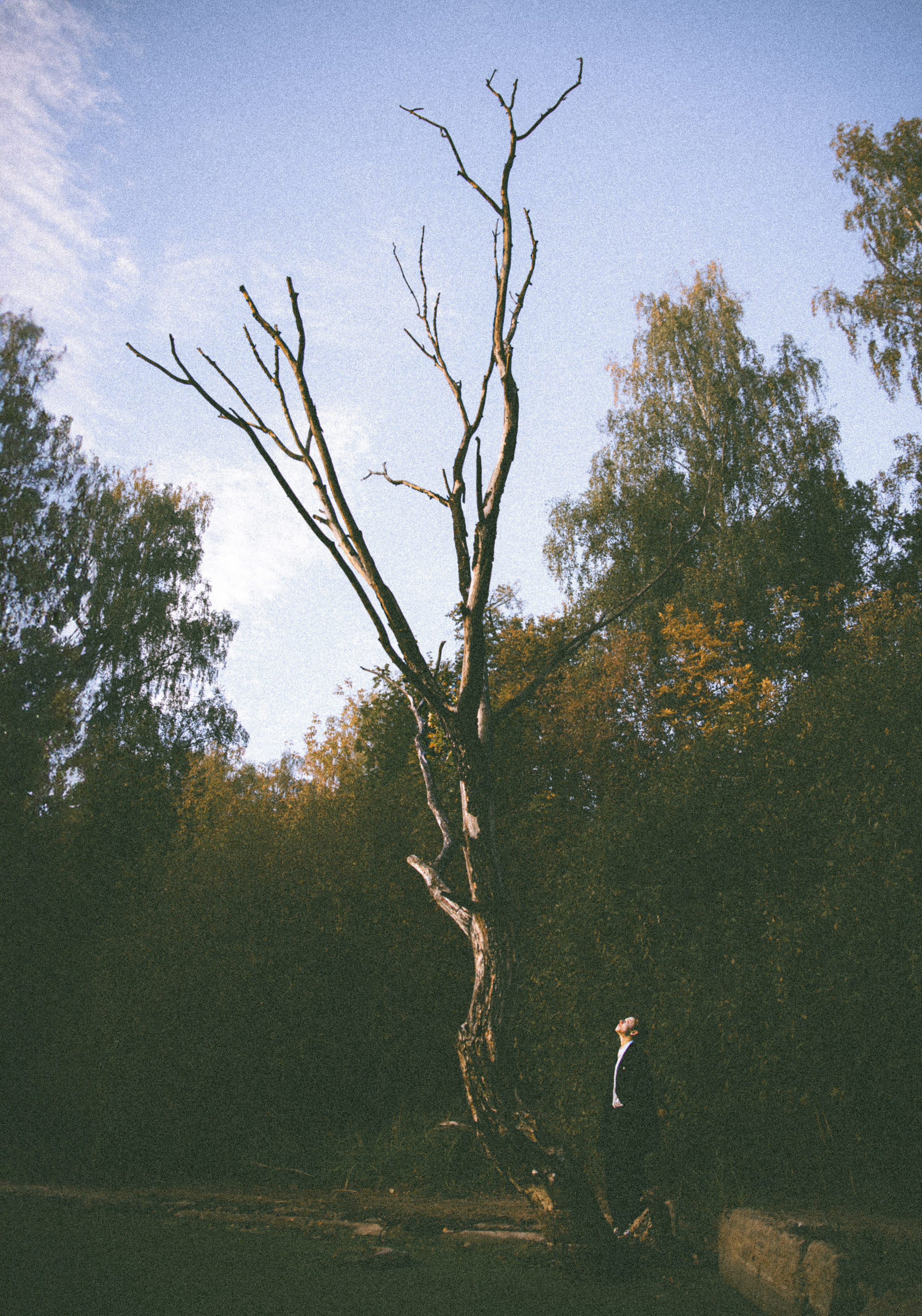 " и ничего больше нет "