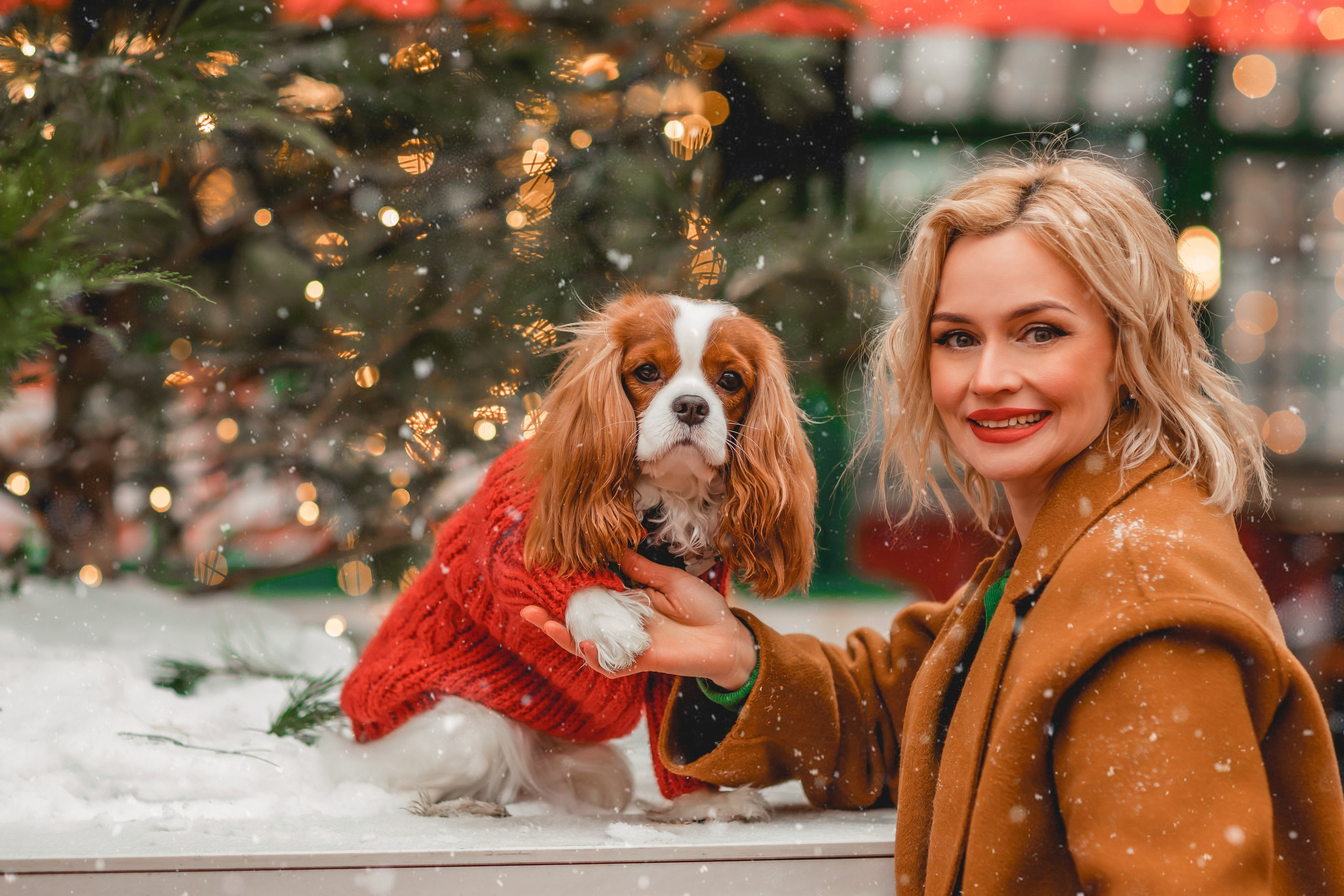Татьяна и Хэппи. Семейный фотограф анималист Мария Крючкова