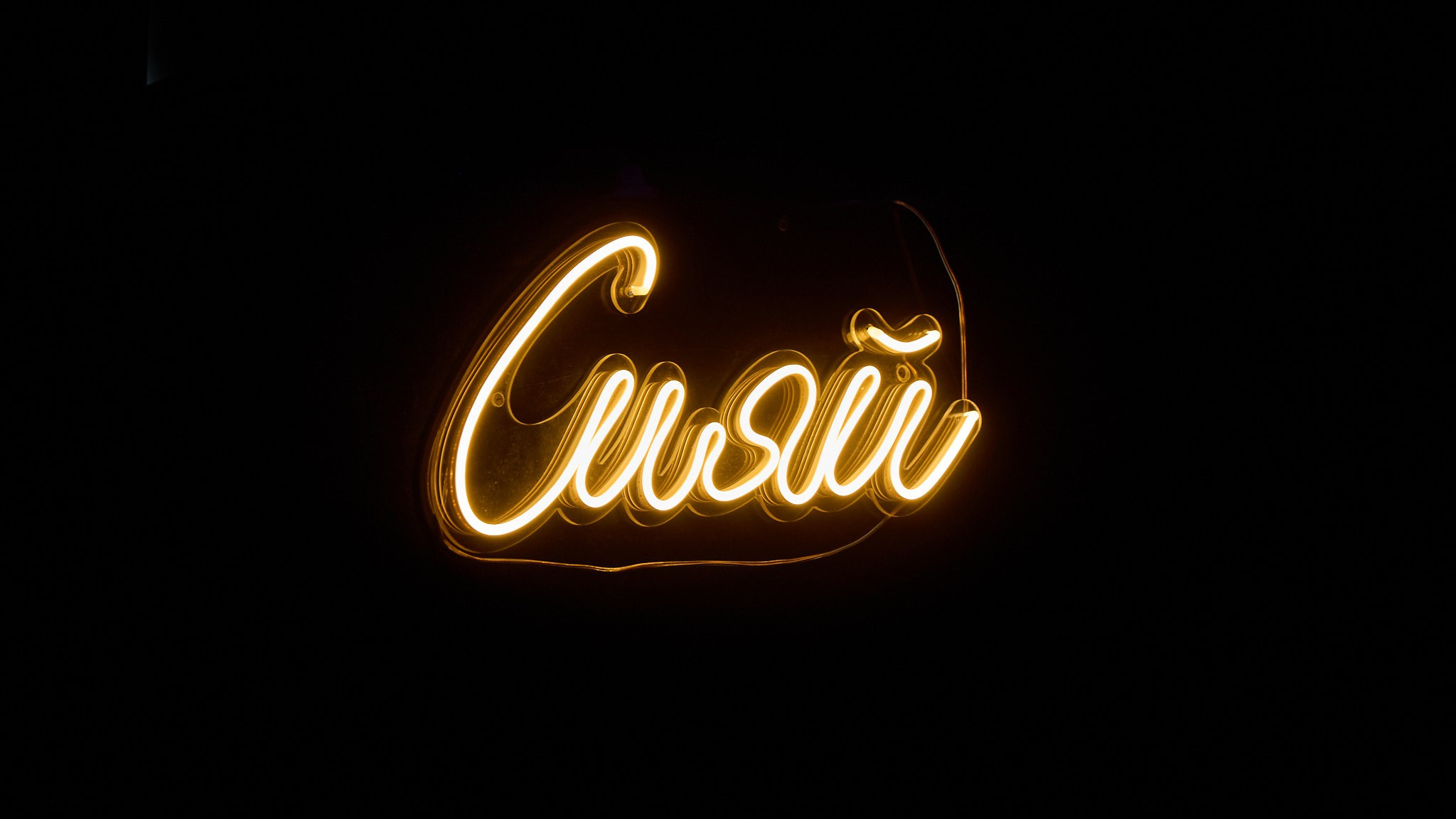 Предновогодняя вечеринка. Свадебный и семейный фотограф в г. Волхов Алексей Кочерыжкин