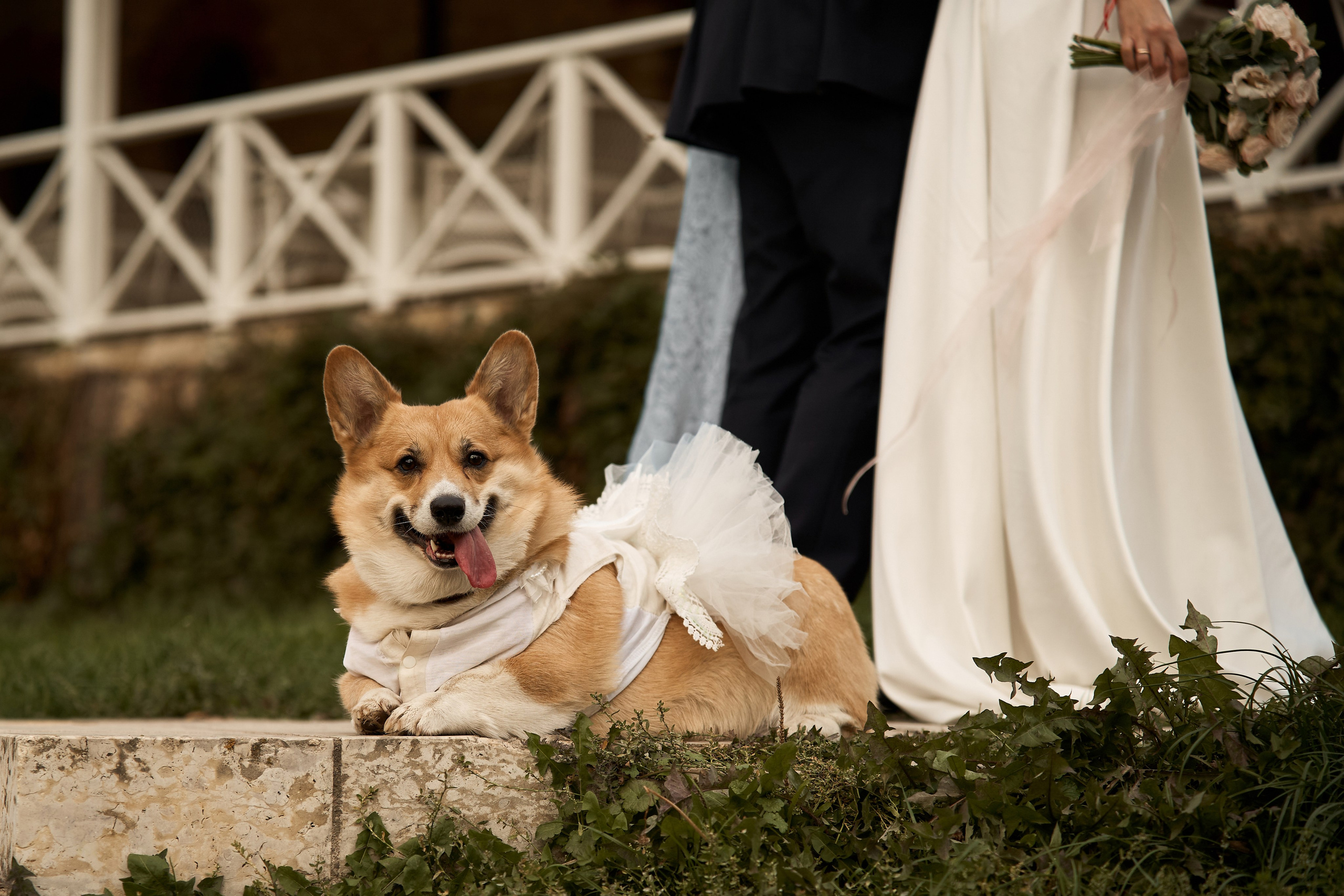 Скорняково-Архангельское. Свадебный фотограф Евгений Олейников в Воронеже