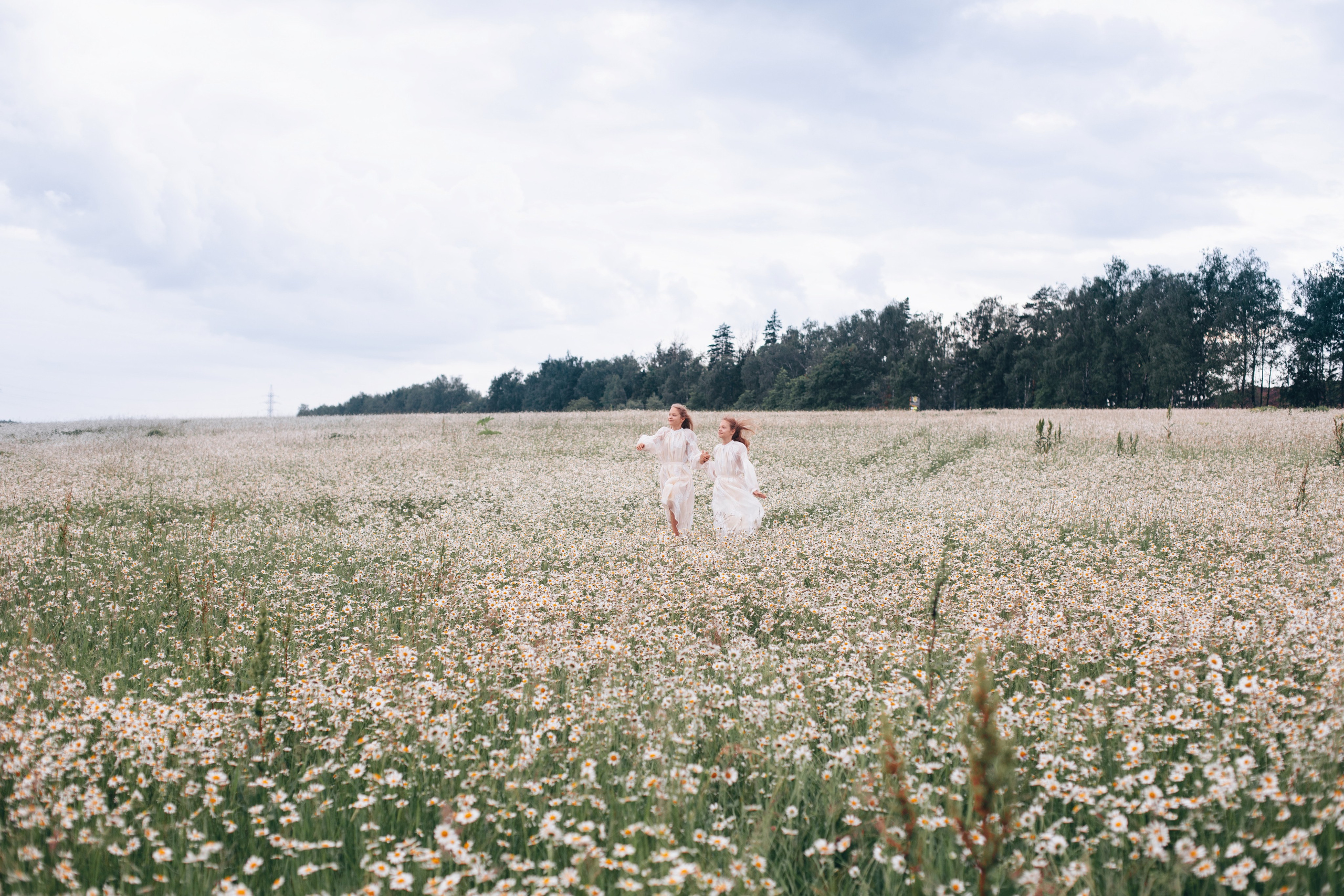 Ромашки 🤍🤍🤍. Семейный фотограф в Москве Анастасия Гурьянова