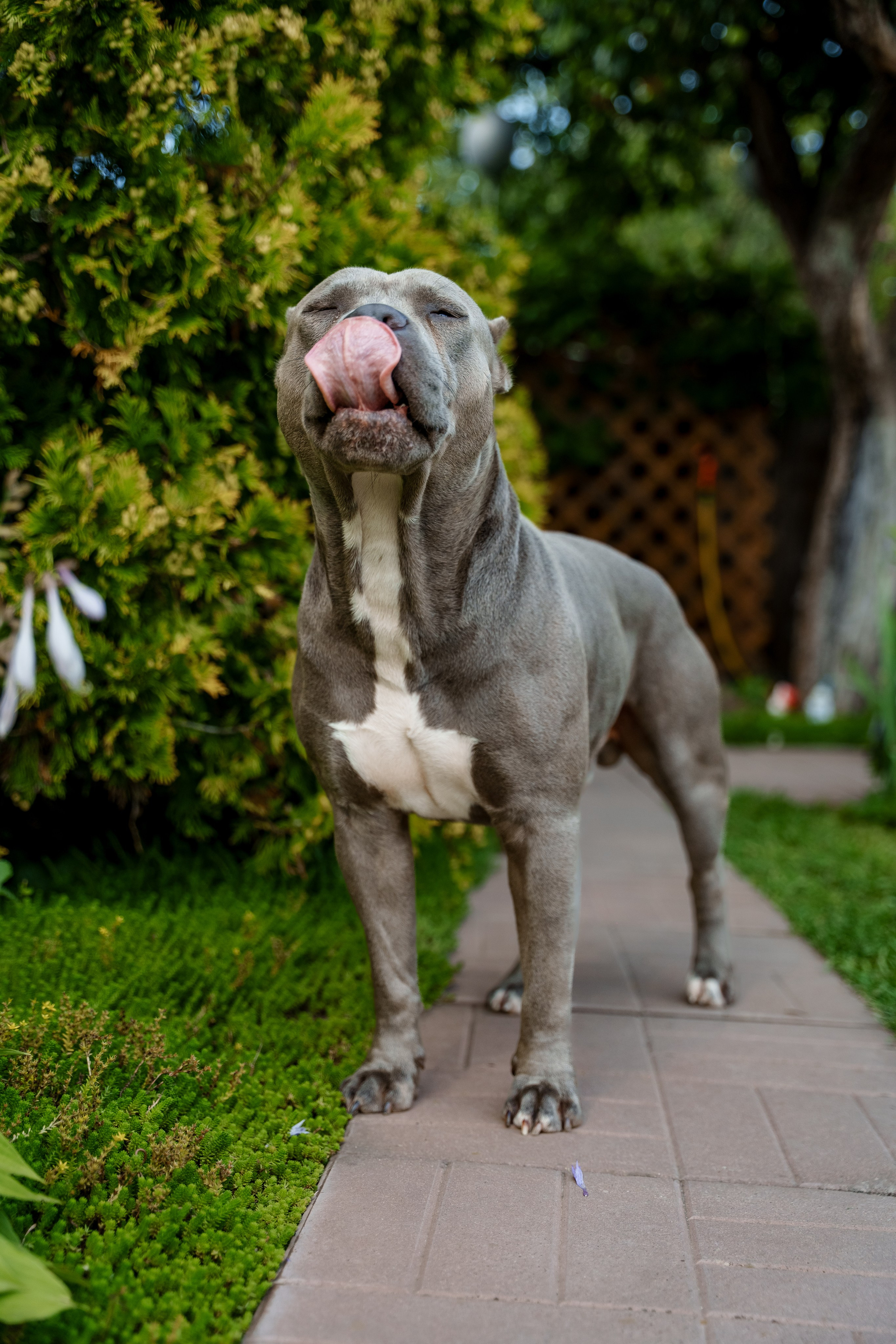 Ева 1 год. Станислав Тюрин Фотограф Москва. Индивидуальные и семейные фотосессии;