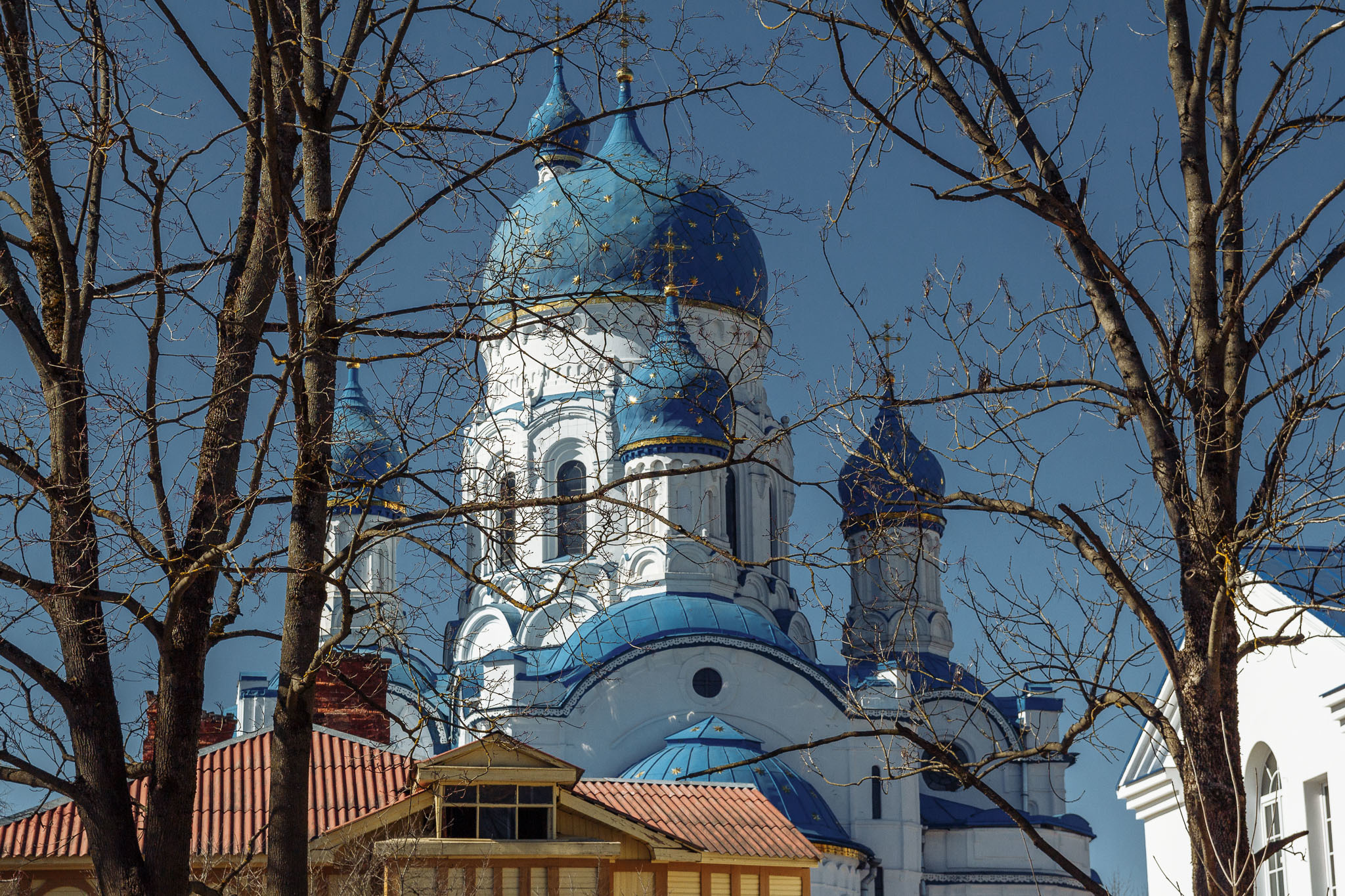 Гатчина • Весна • 2019. Творческая Мастерская Павла МАРЕЕВА