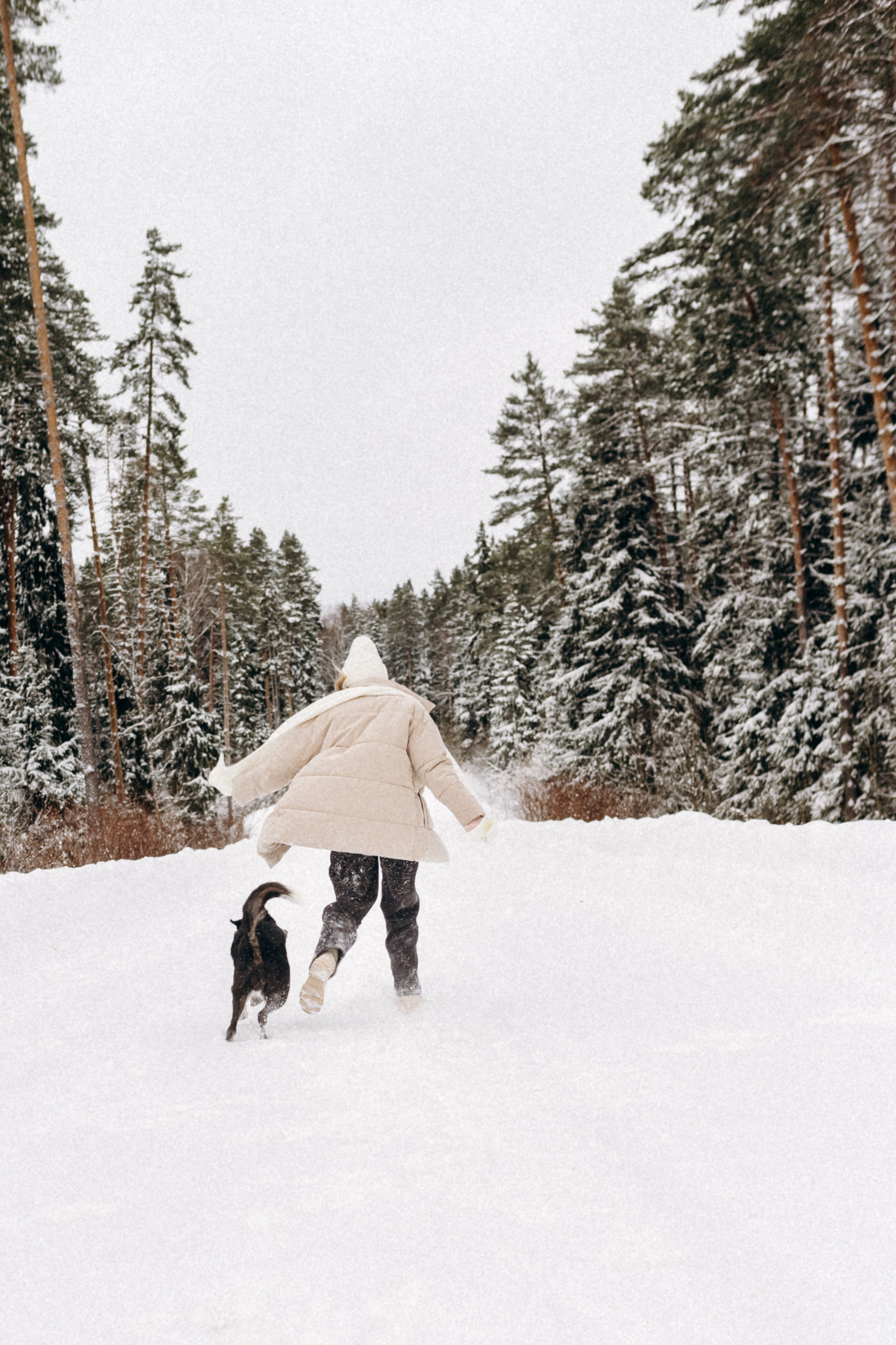 Аня и Милан. Фотограф анималист в Москве Ольга Агушева