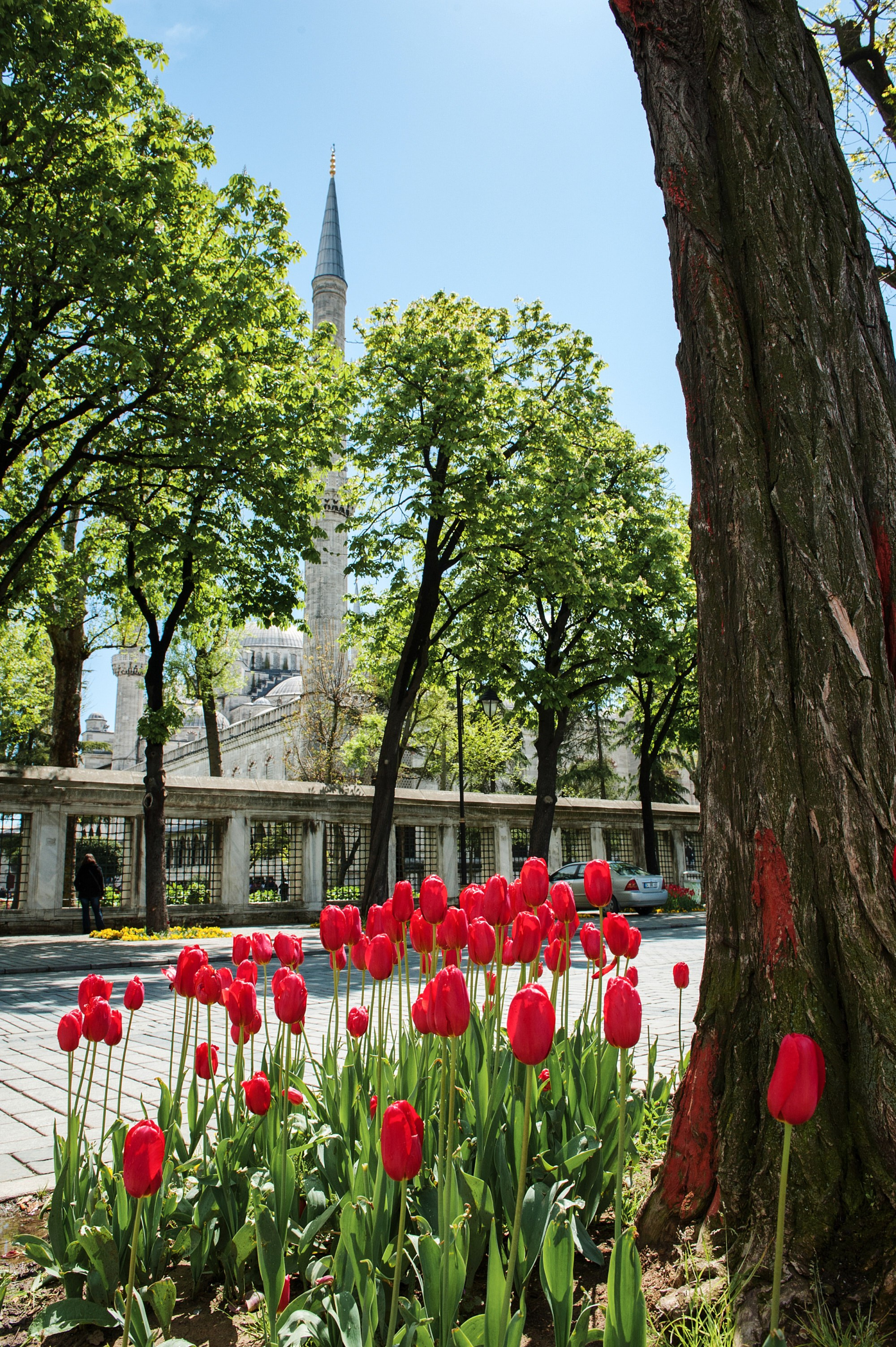 Документальная фотография — проект «Стамбул многоликий» | Дмитрий Тарасов. Репортажный фотограф в Москве — Дмитрий Тарасов | Съёмка мероприятий, концертов, корпоративов