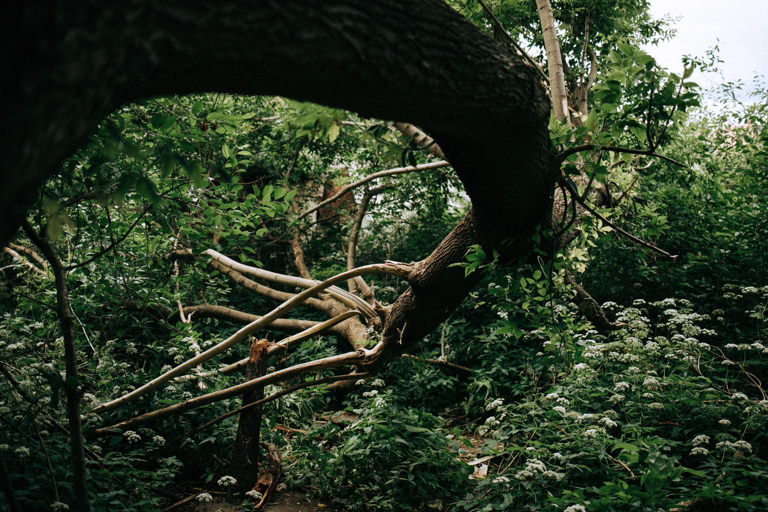 Прогулка по Криволучью. Свадебный и семейный фотограф в Туле и области Маша Костина