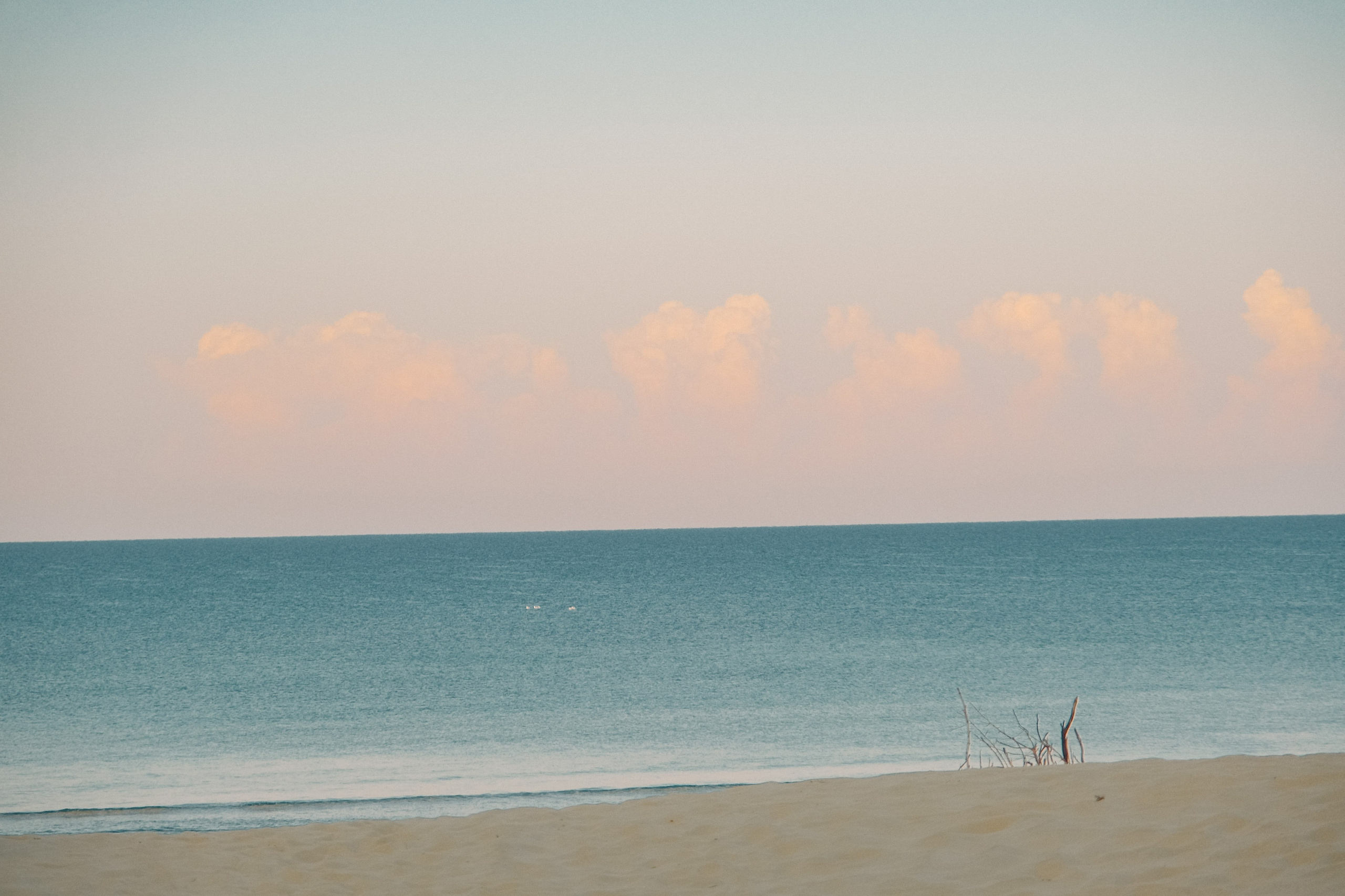 База отдыха Дюны золотые. Photographer and videographer for wedding in Italy: Rome, Milan, Venic