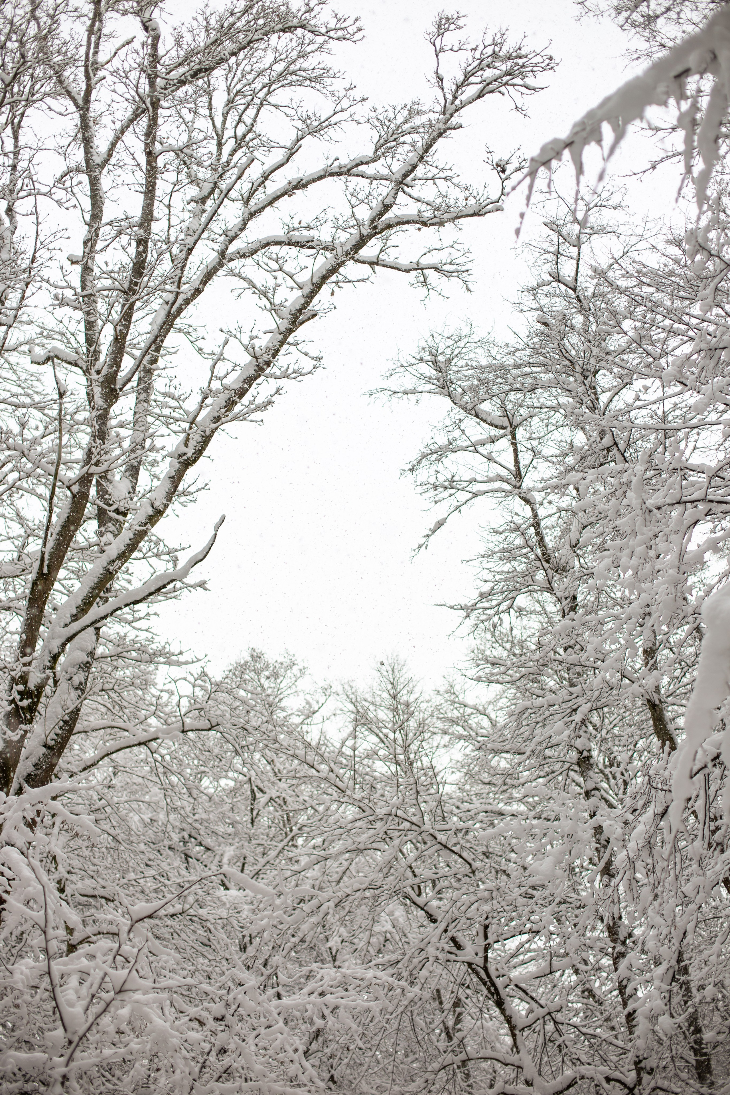 Катя и Тима. Когда выпал снег. Фотограф в Калининграде Решетникова Алина