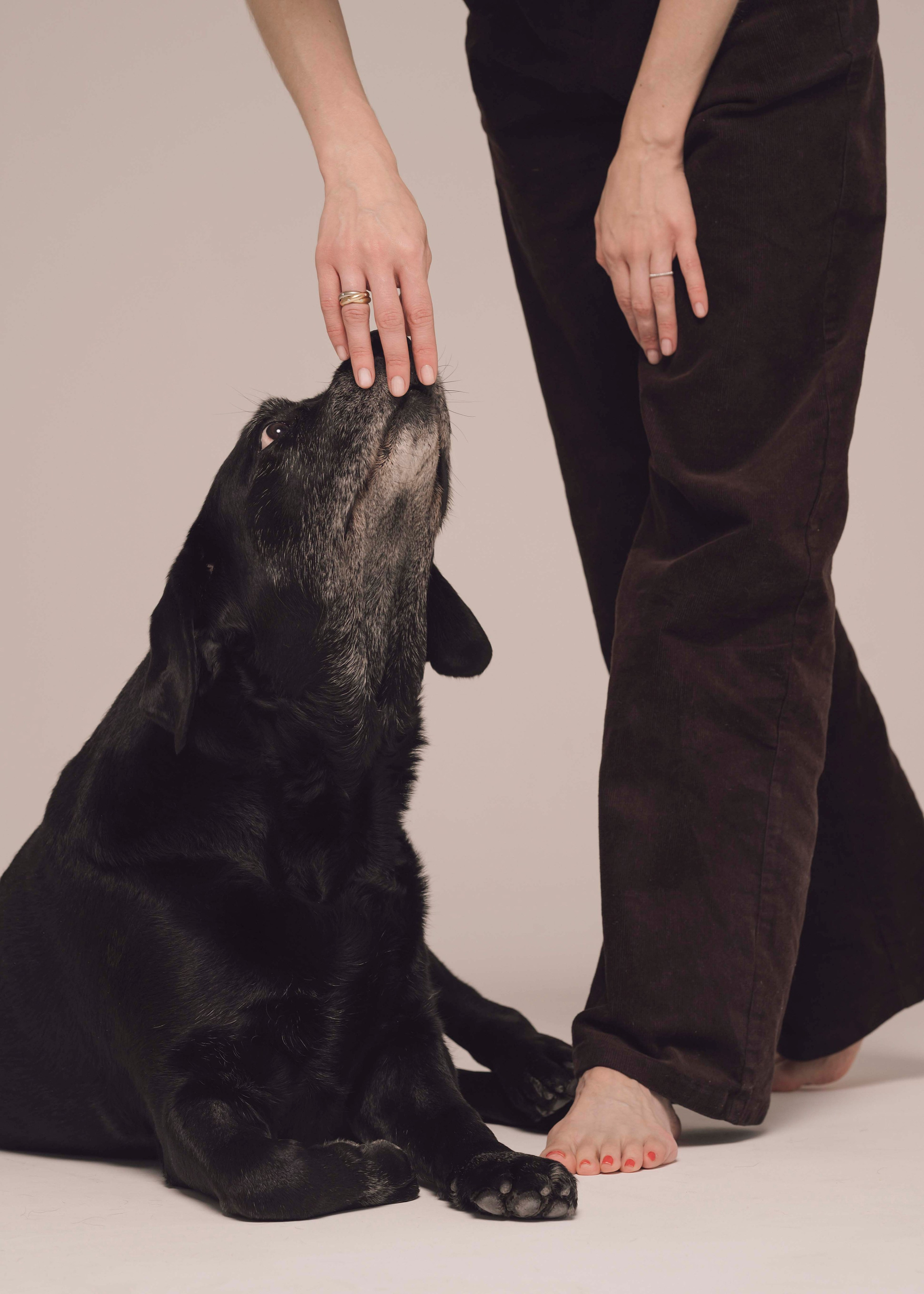 Бэста. Фотограф- анималист Александра Матвеева