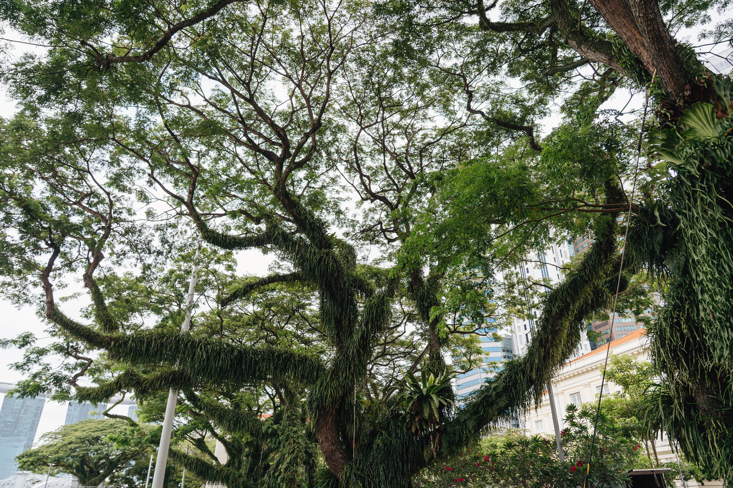 Сингапур и Малайзия