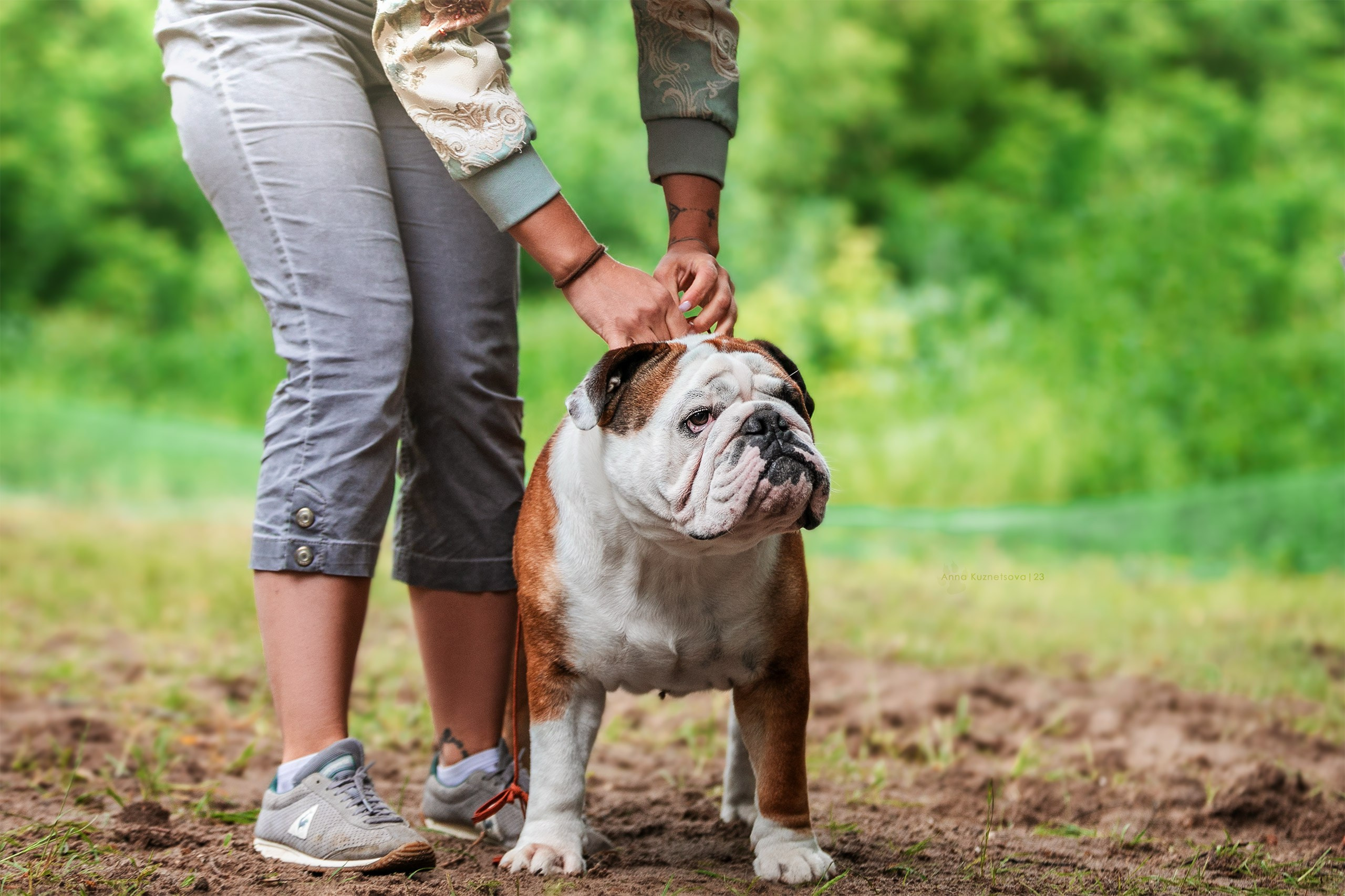 В ринге. Фотограф анималист Кузнецова Анна Нижний Новгород