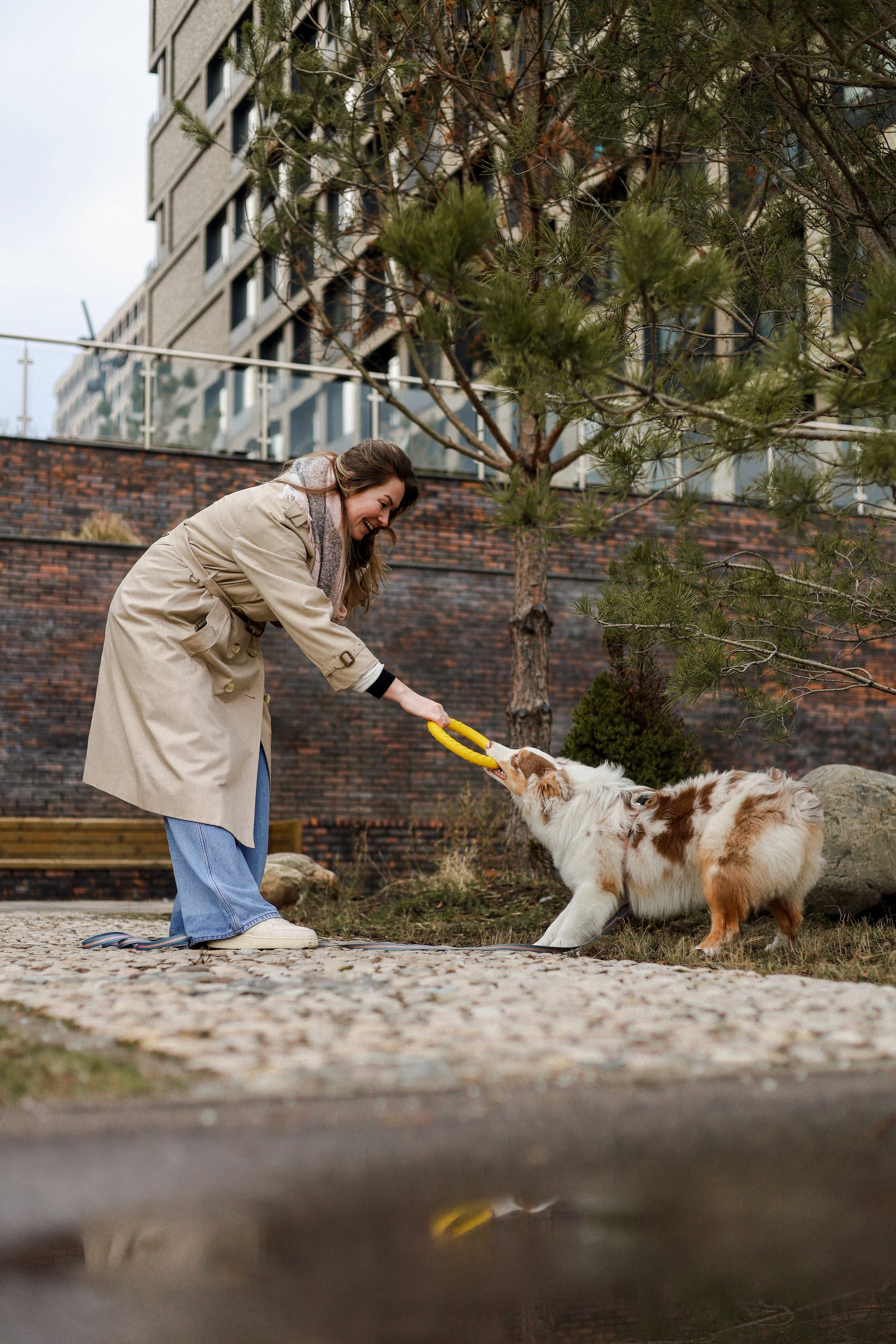 Бри и Яна. Фотограф-анималист Ксения Шевцова|Москва