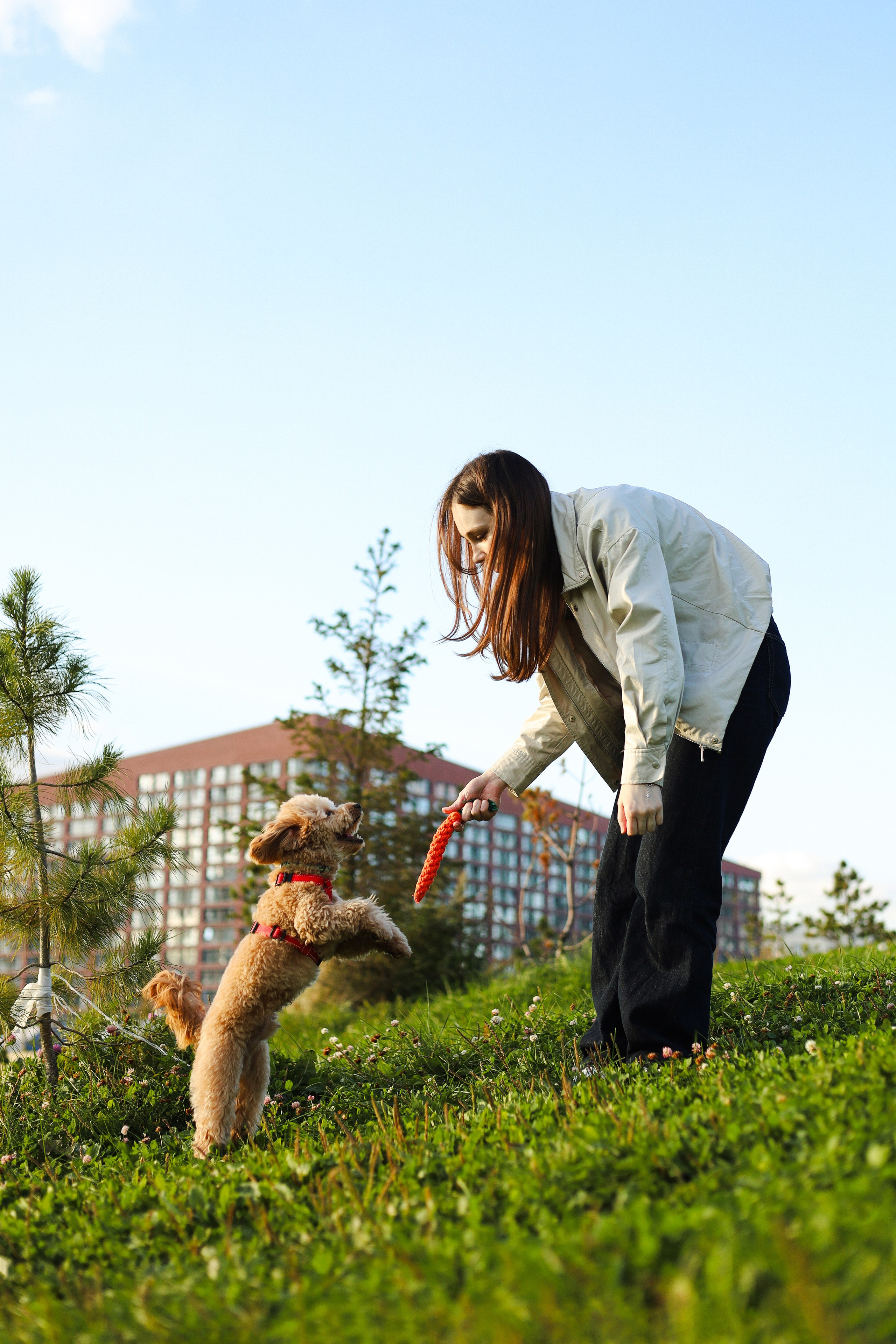 Поршик и Ксения. Фотограф-анималист Ксения Шевцова|Москва