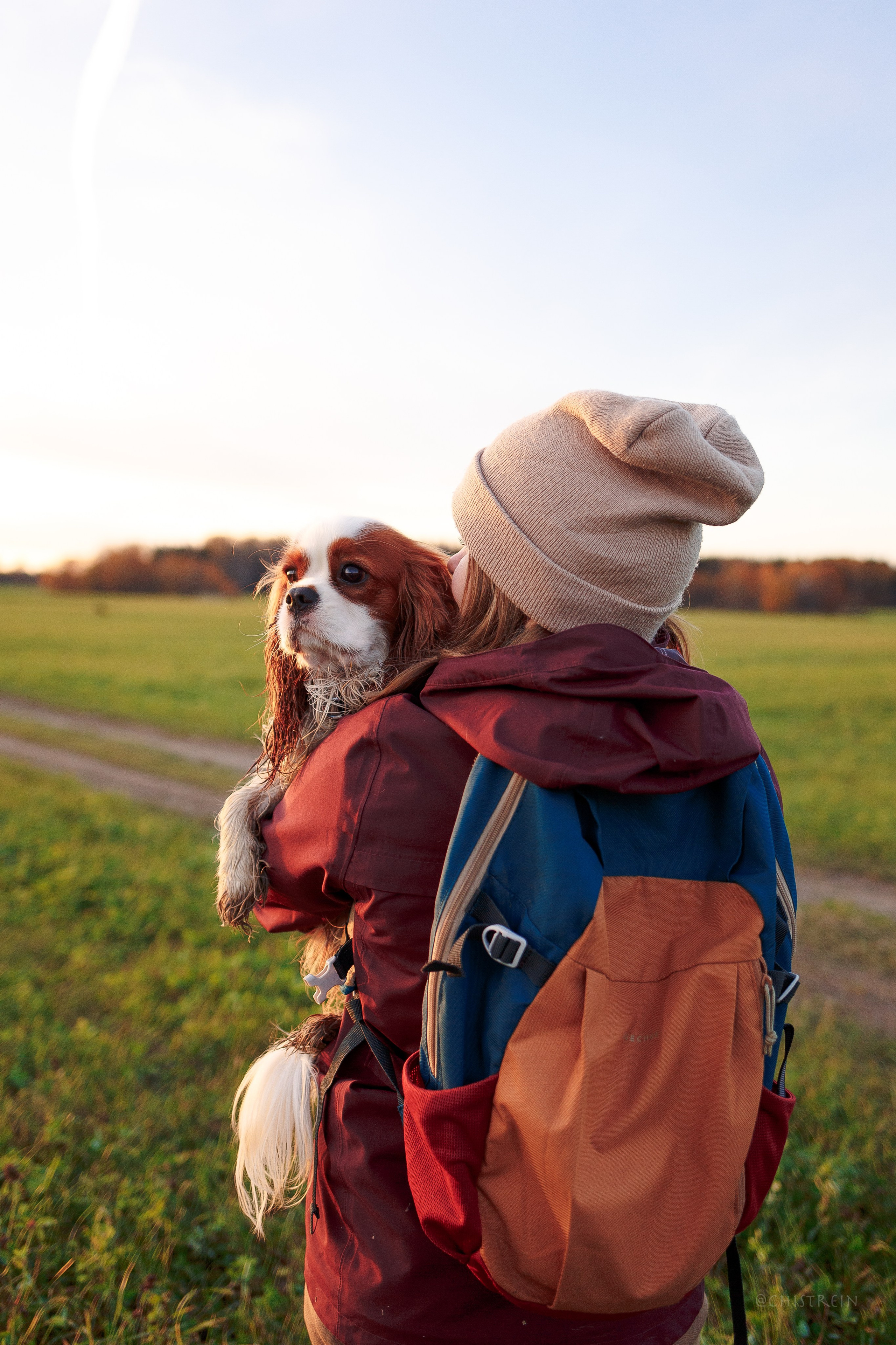 Октябрьский закат в полях. Алина и Лео. Фотограф-анималист Наталия Чистюхина в г. Сосновый Бор и ЛО