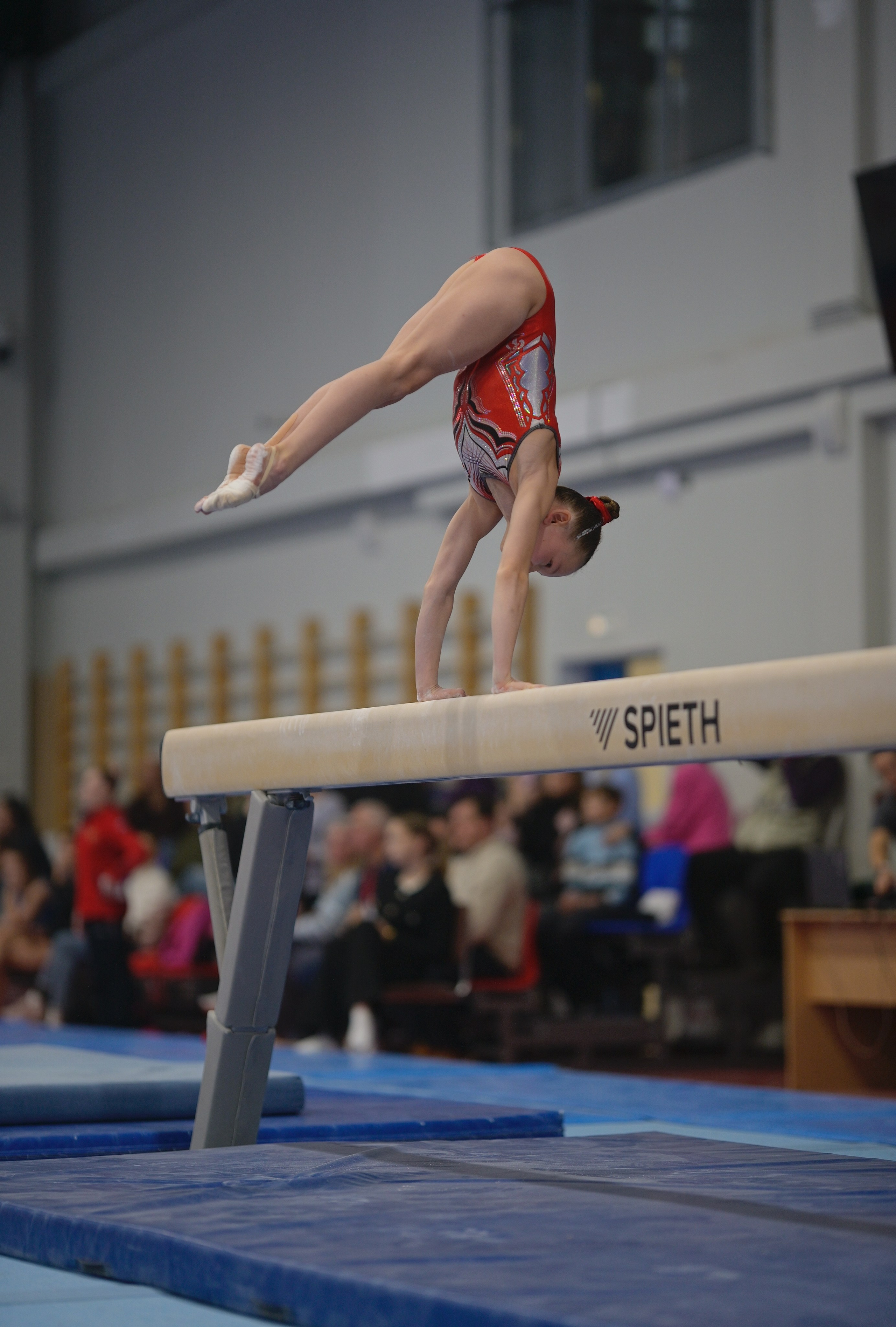 Турнир по спортивной гимнастике Е. М. Замолодчиковой. Фотограф Ваших событий 📸