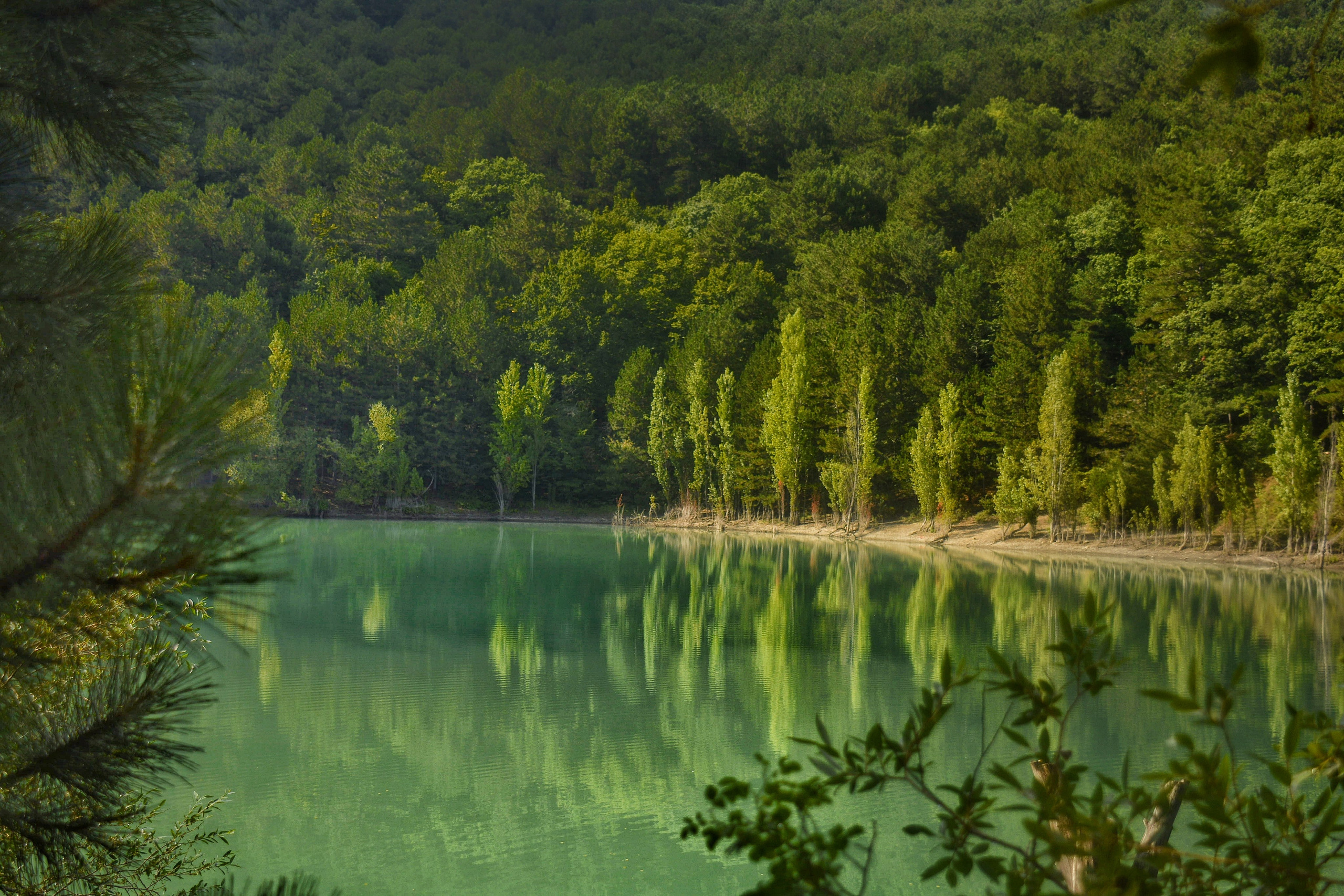 Фотограф Ваших событий 📸